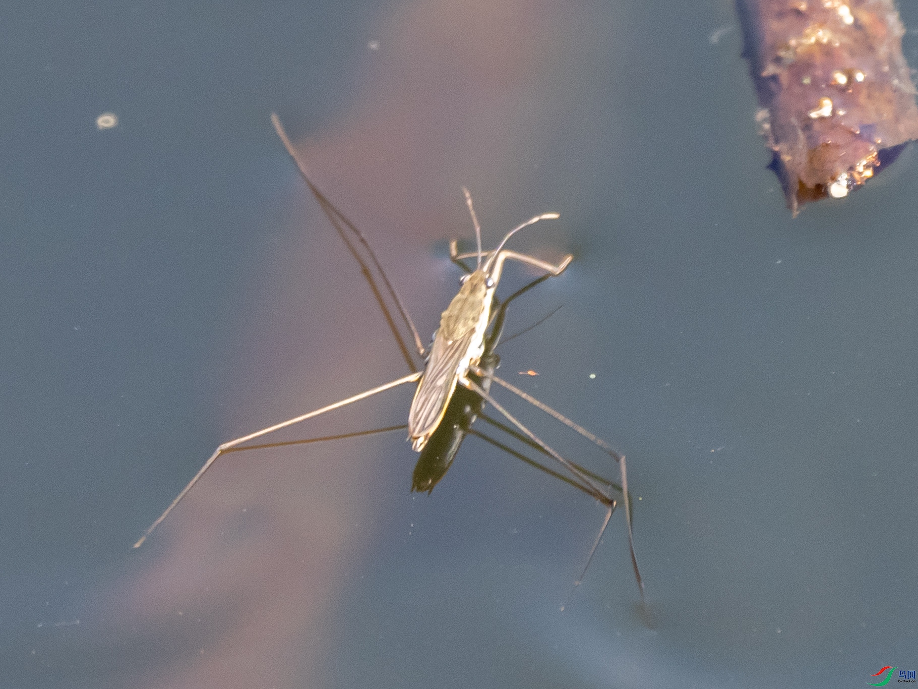 P4107371.jpg