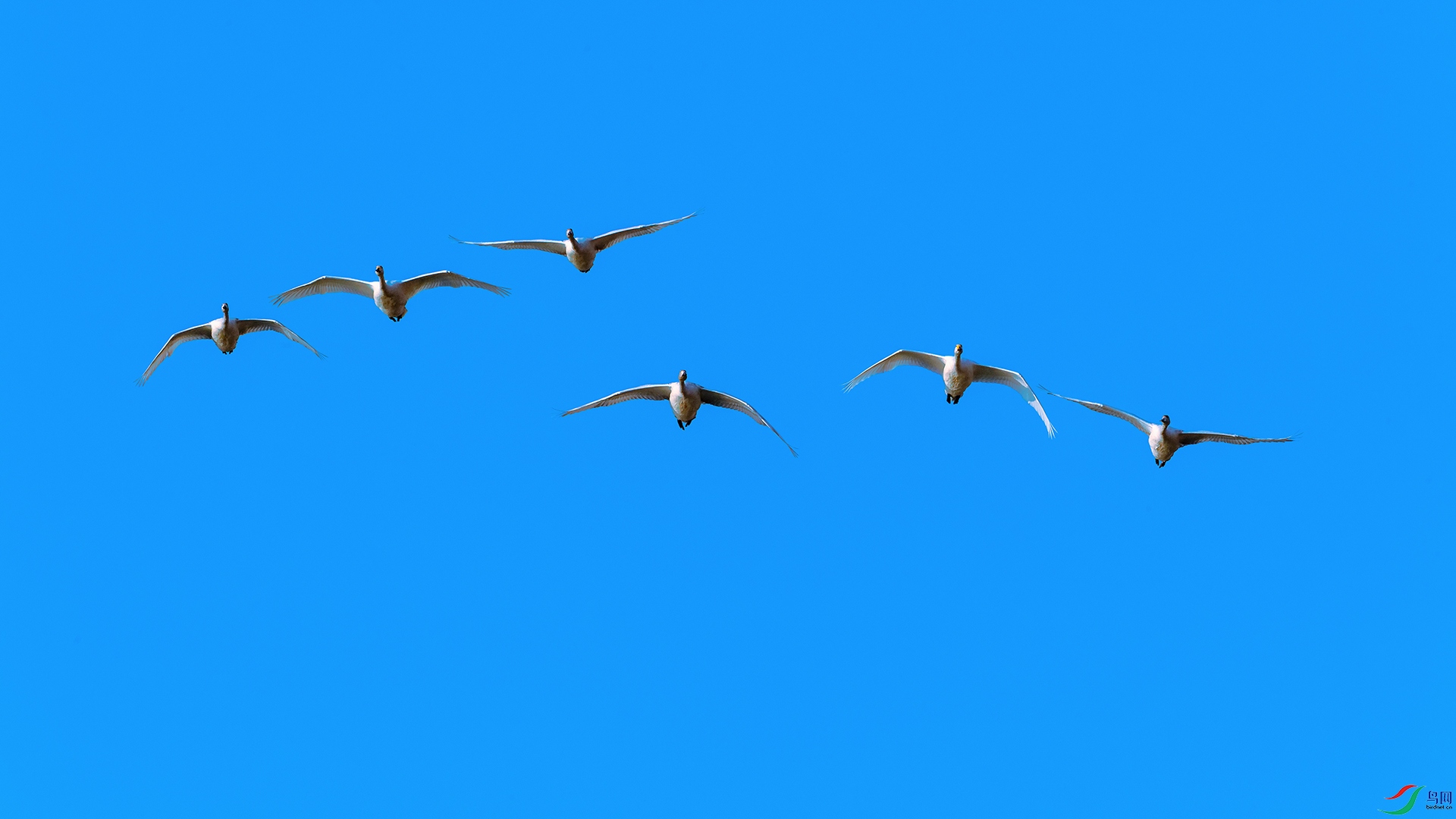 DSC_3613_DxOa.jpg