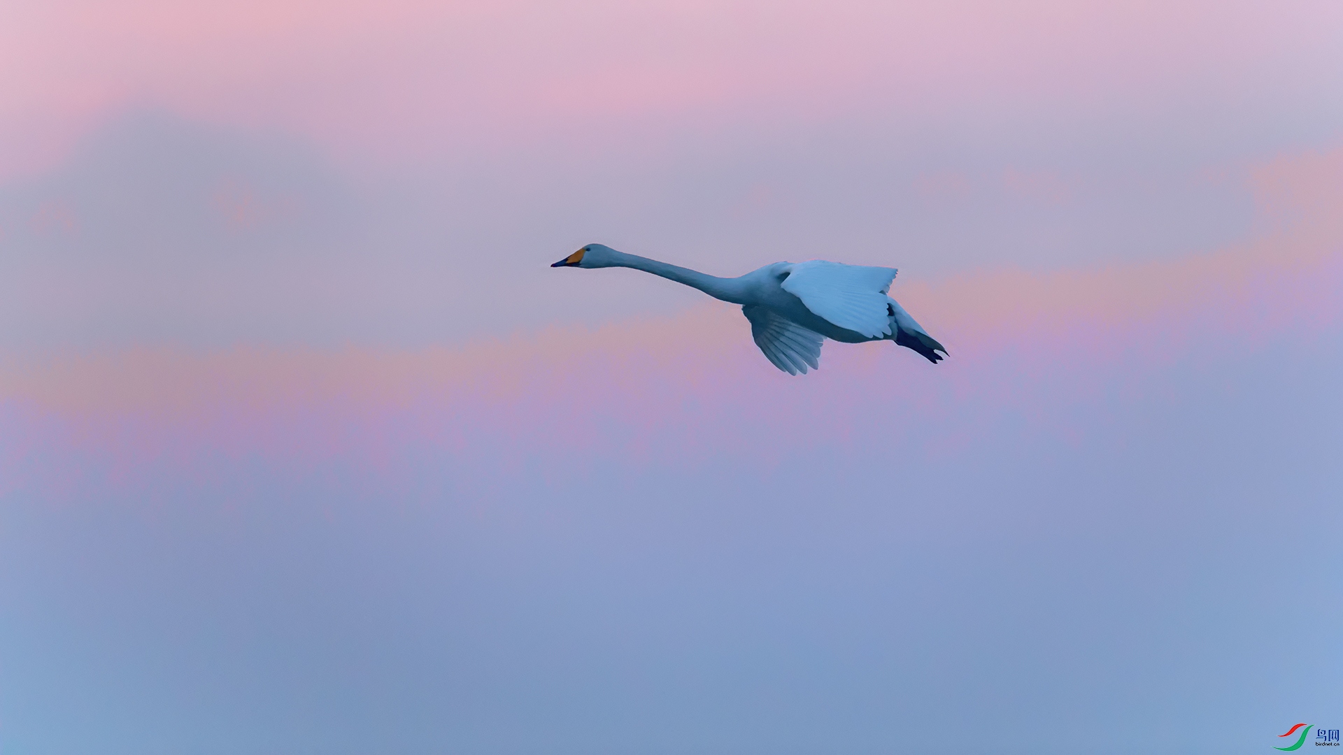 DSC_5854_DxOa.jpg
