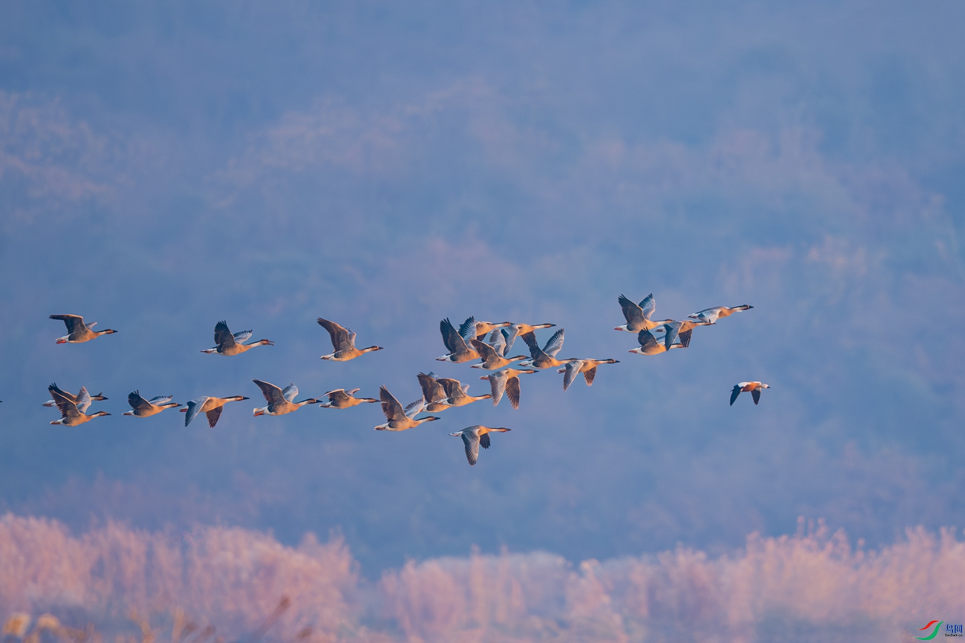 DSC_7042.jpg