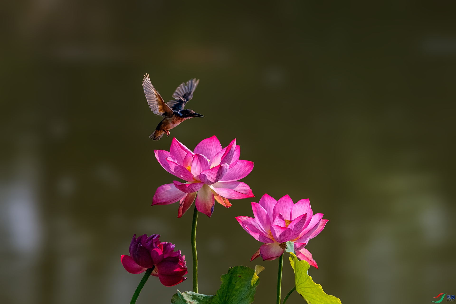 _AUU7341 ������Ӱ(25.7.29).jpg