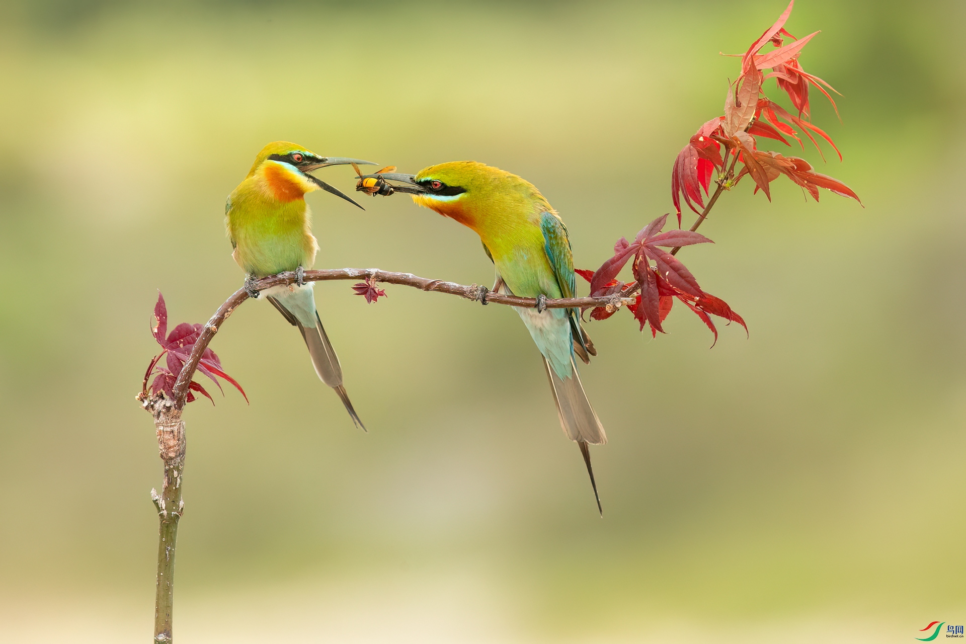 B86I9169 _����.jpg