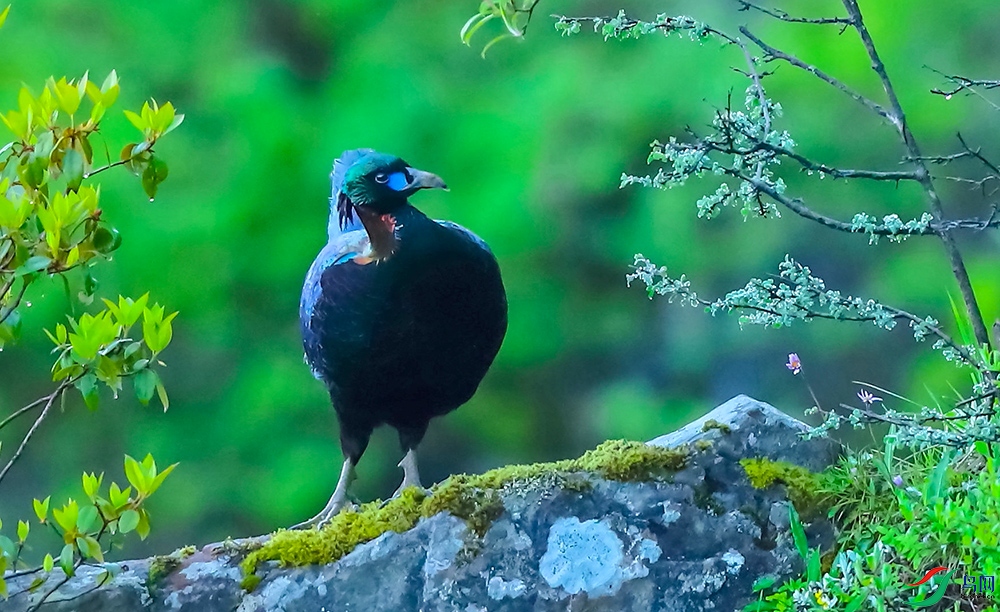 ��β���� (2).JPG