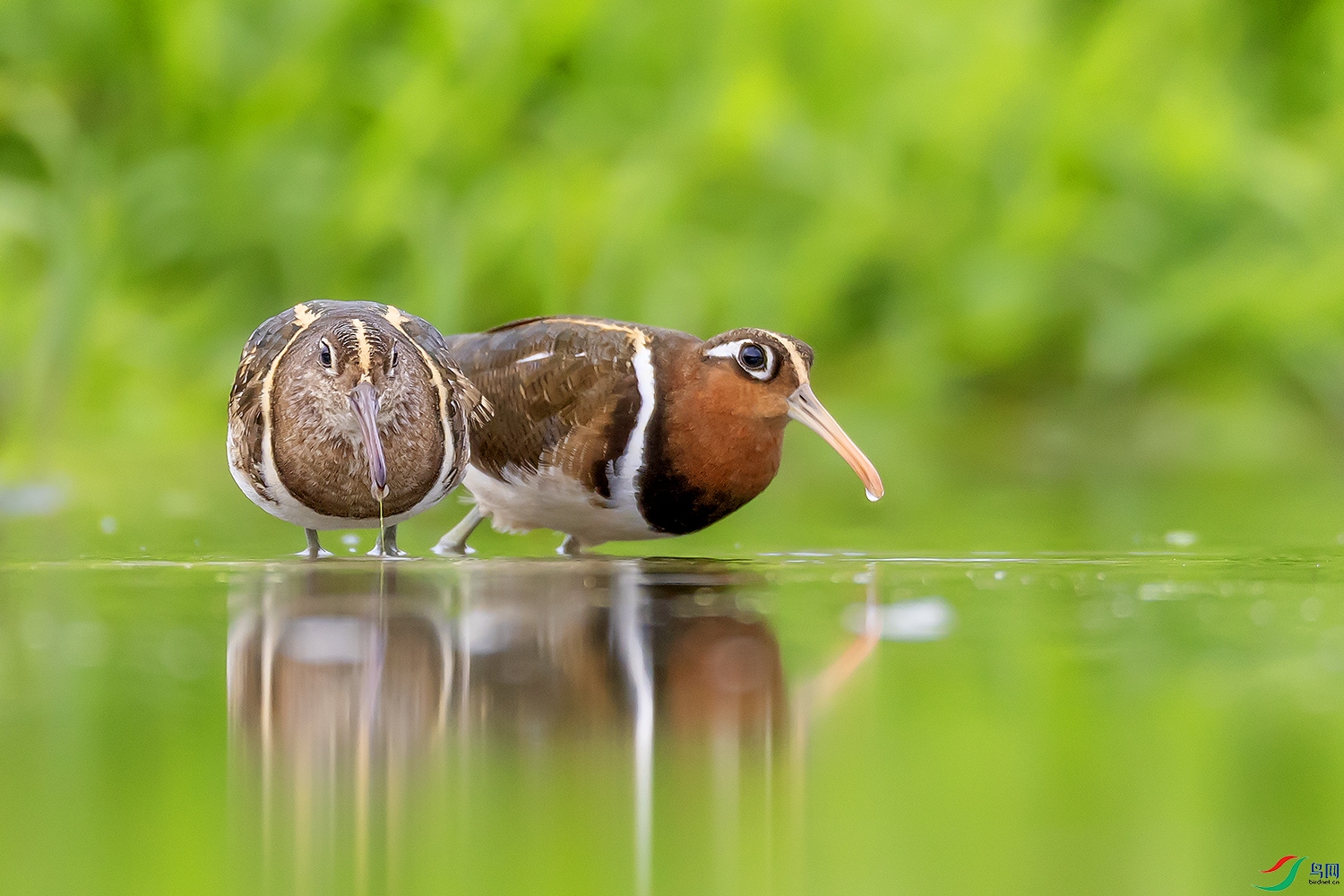 0F7A0189 ����.jpg