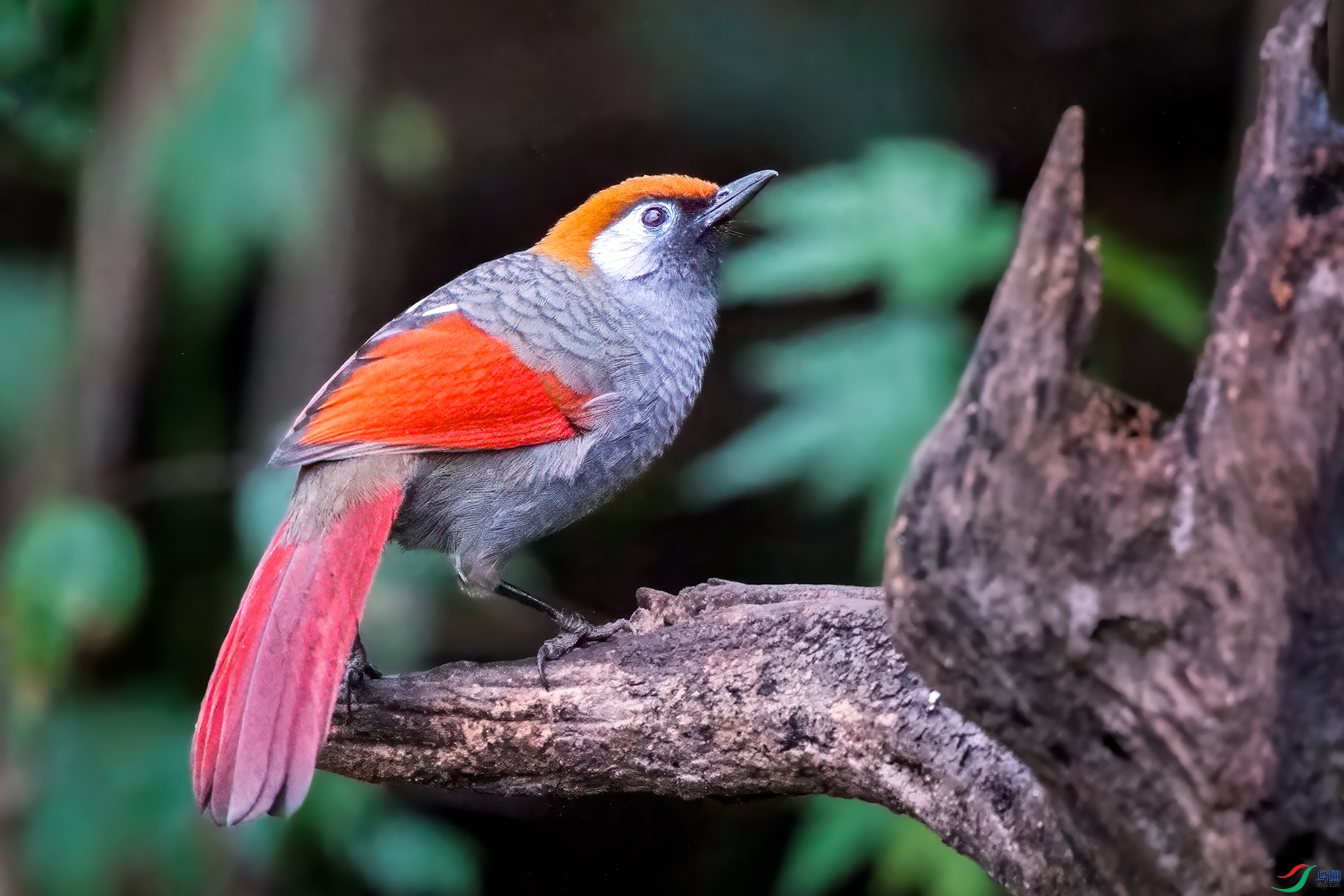 0_DSC3461-topaz-denoise-sharpen.jpg