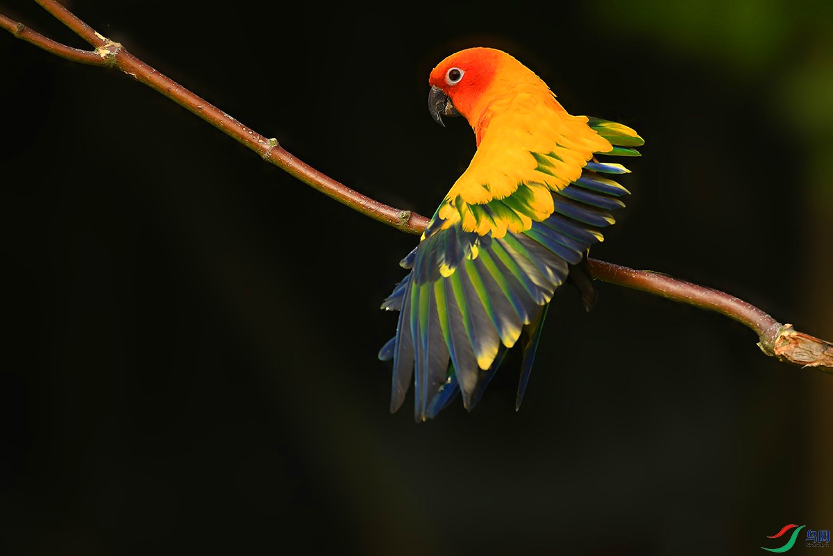 DSC_2251_.jpg