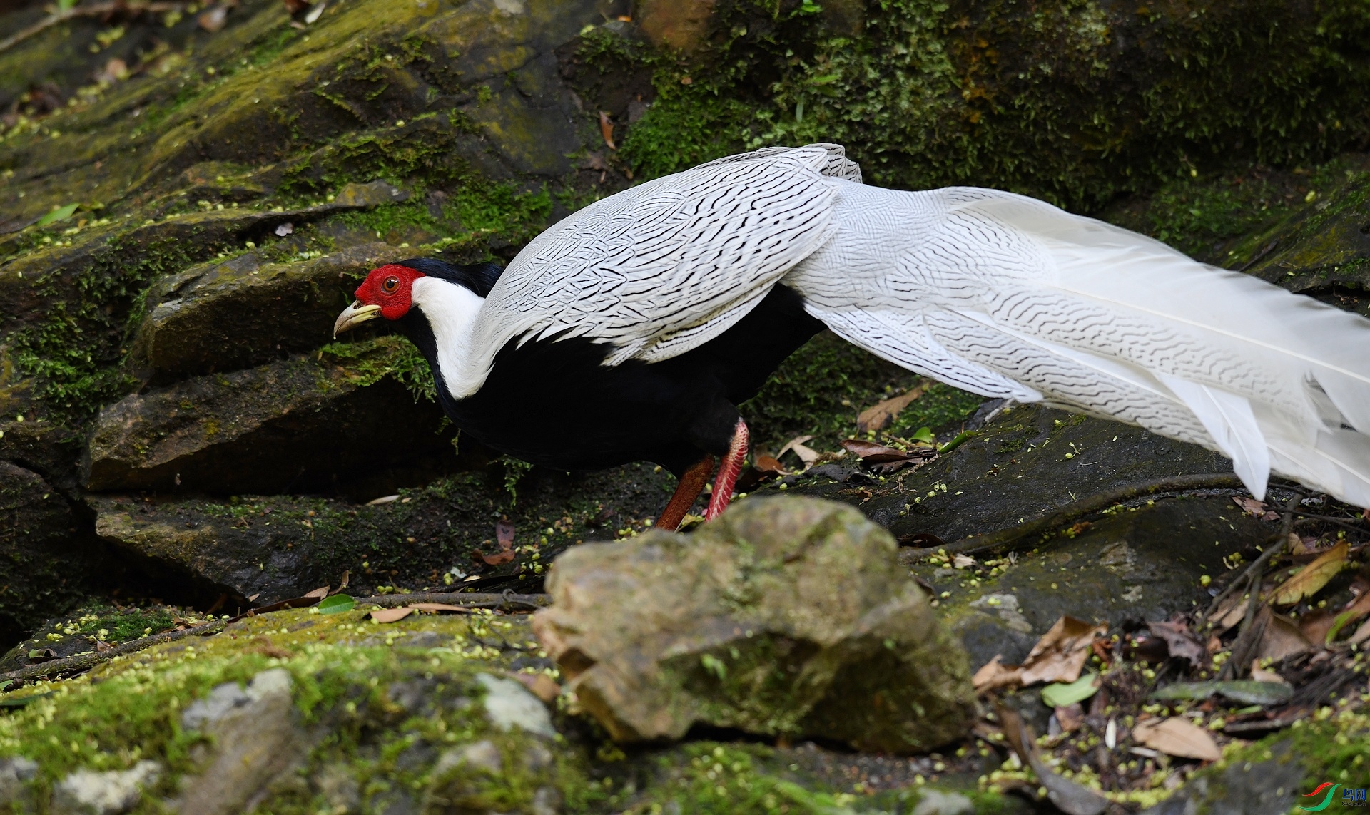 DSC_4516.jpg