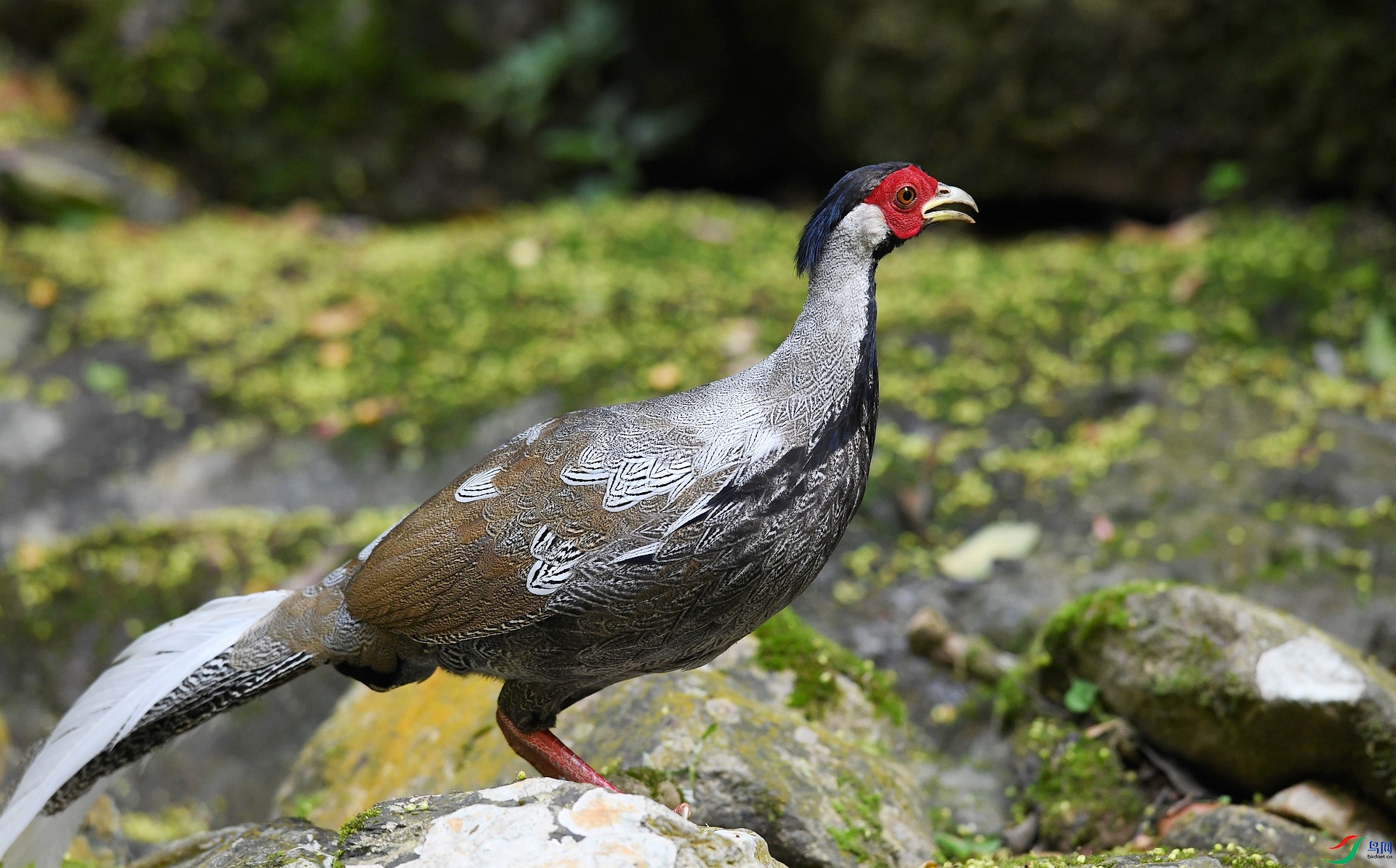 DSC_5093.jpg