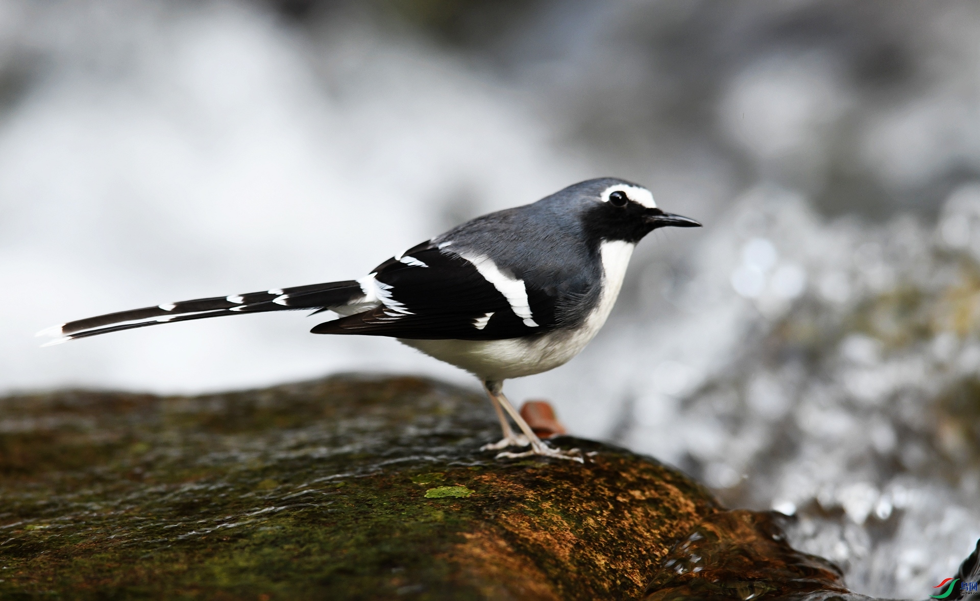 DSC_5184.jpg