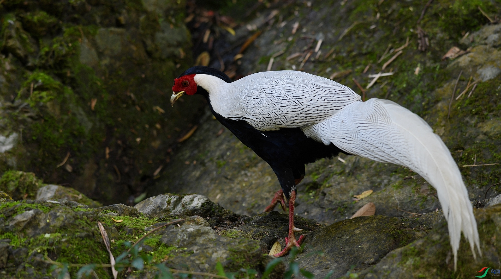 DSC_5157.jpg
