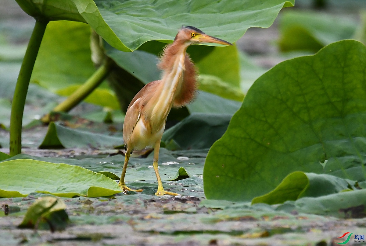 DSC_8688.JPG