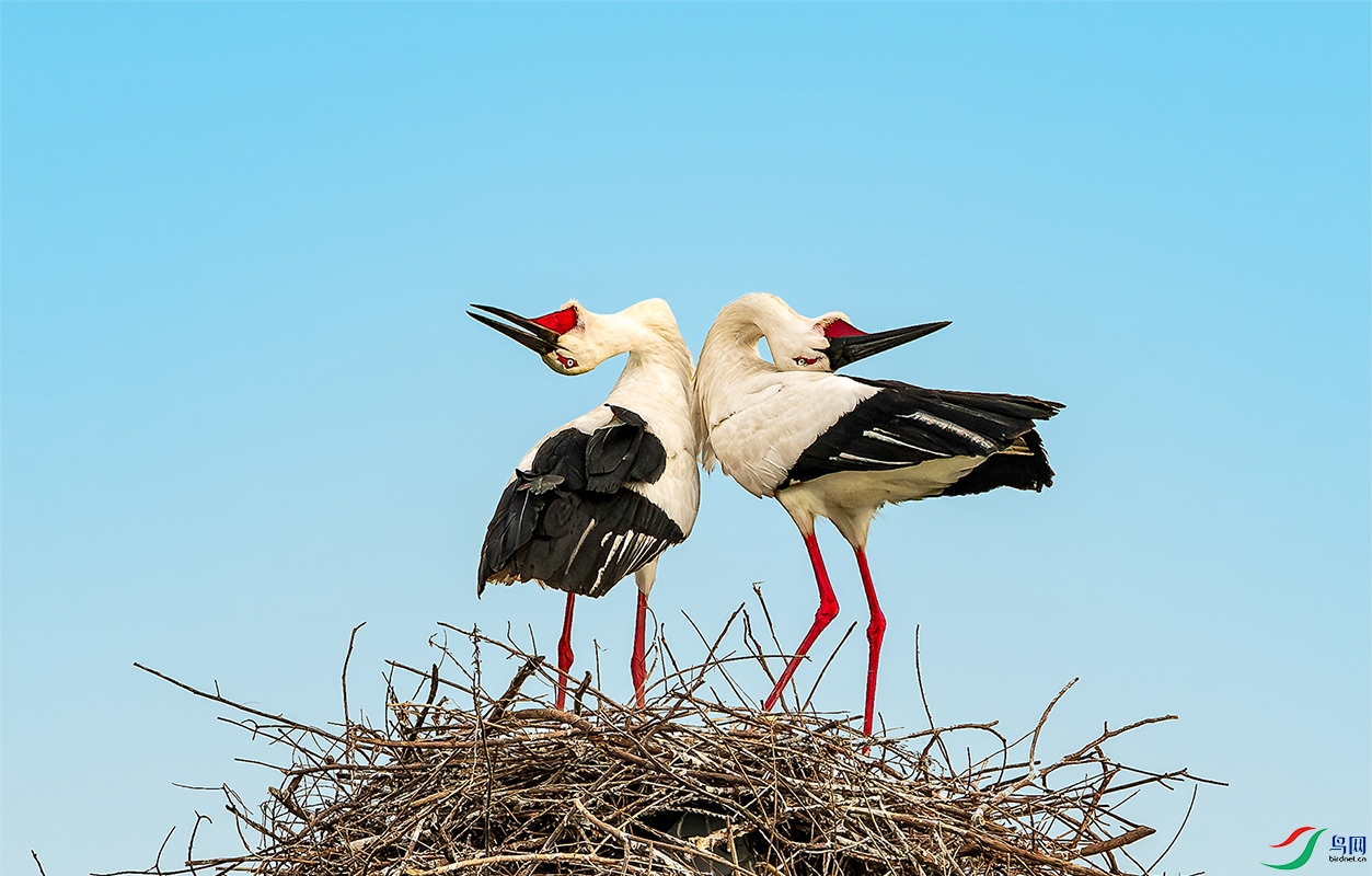 8849--���� ����.jpg