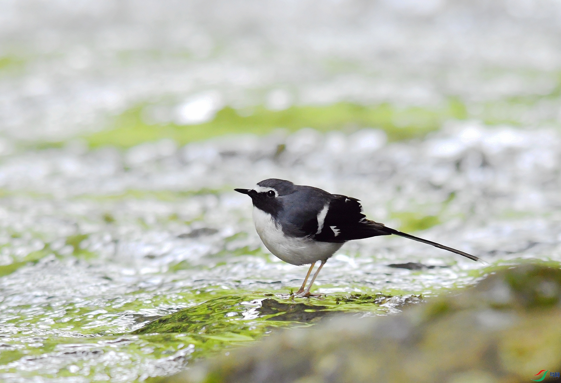 DSC_3928.jpg