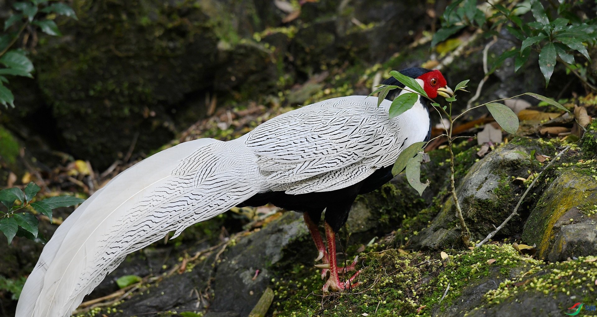 DSC_5097.jpg