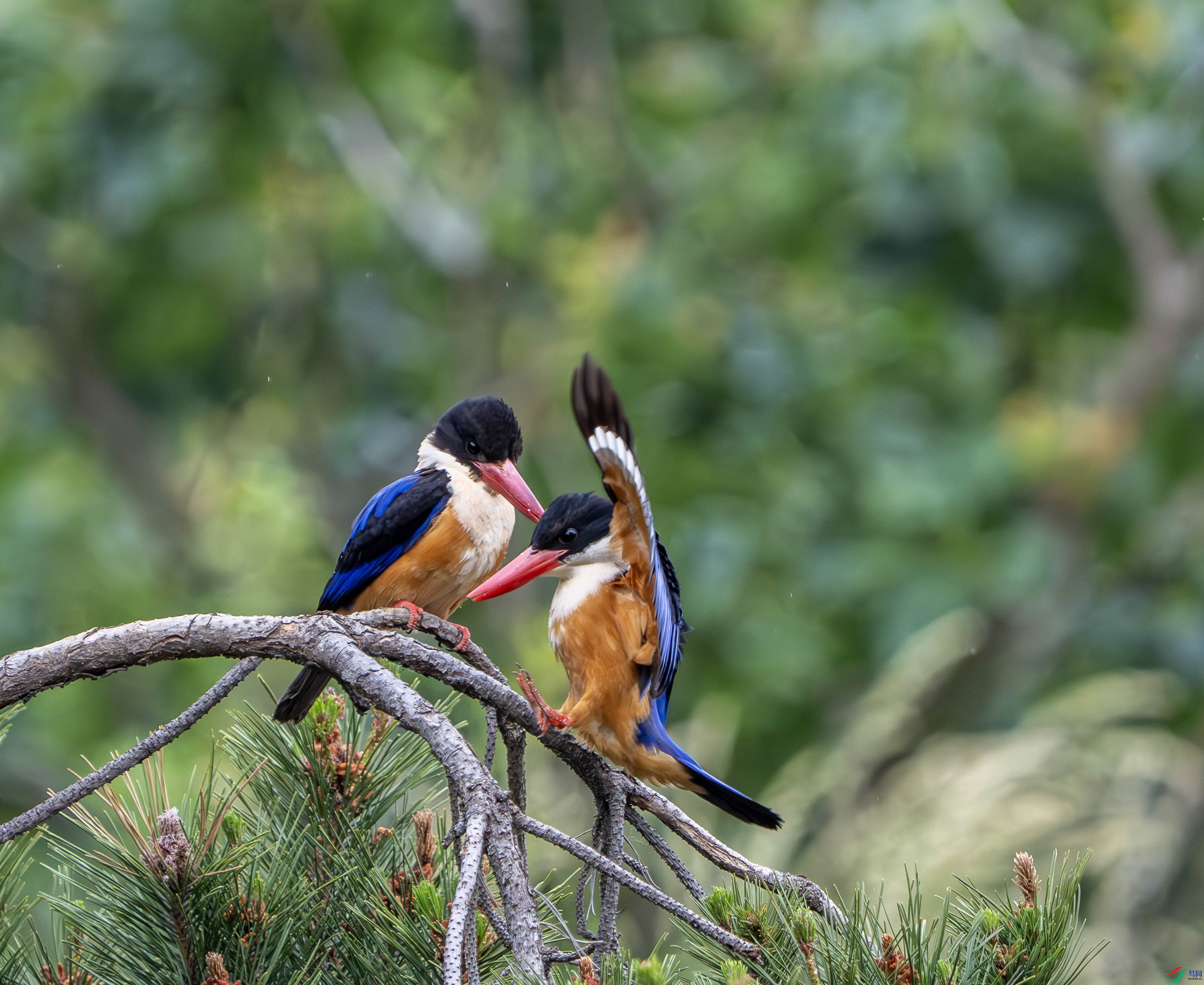 �����-23 (9).jpg