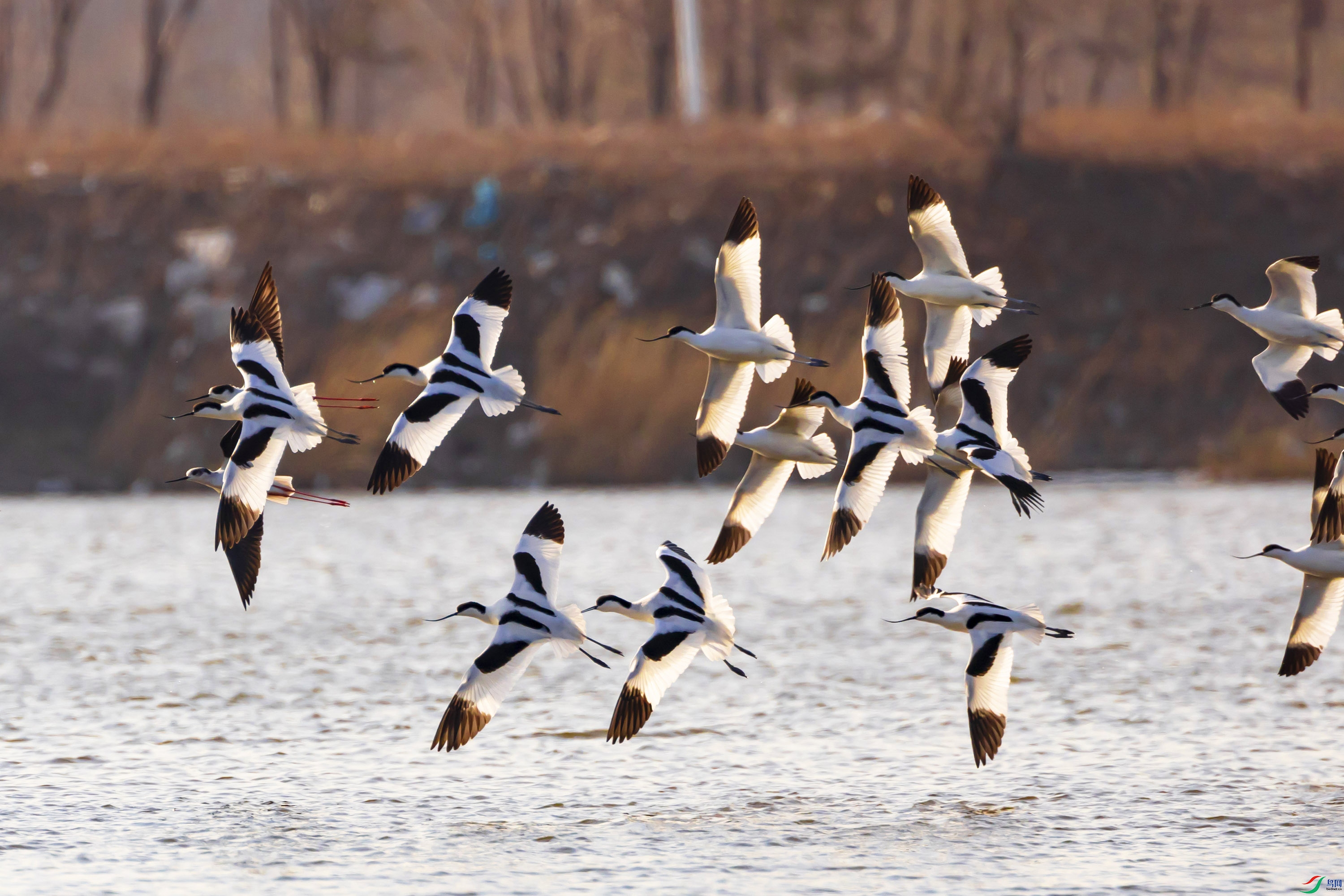 _L3A9095 ����.jpg