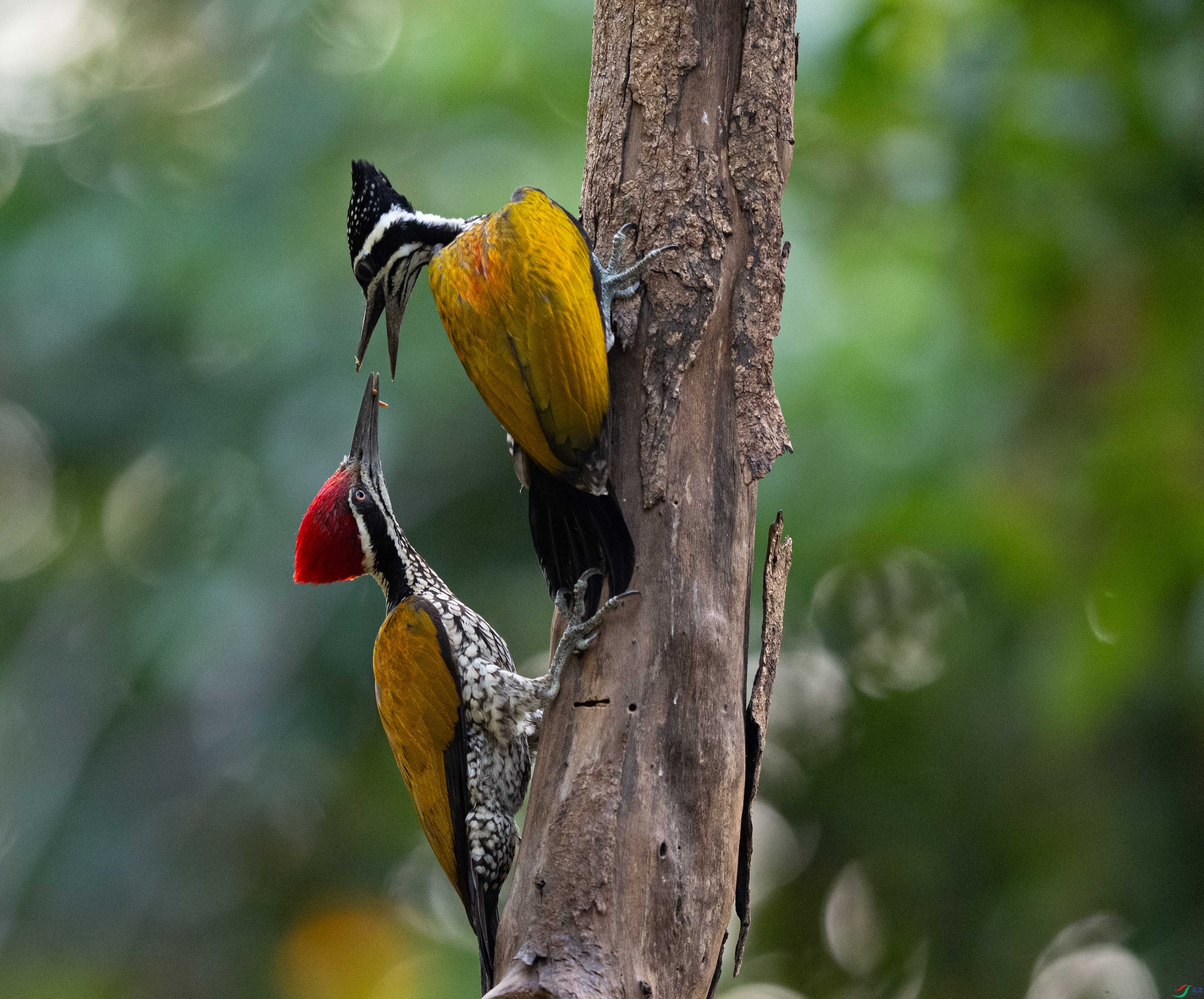 DSC_3278-3.jpg