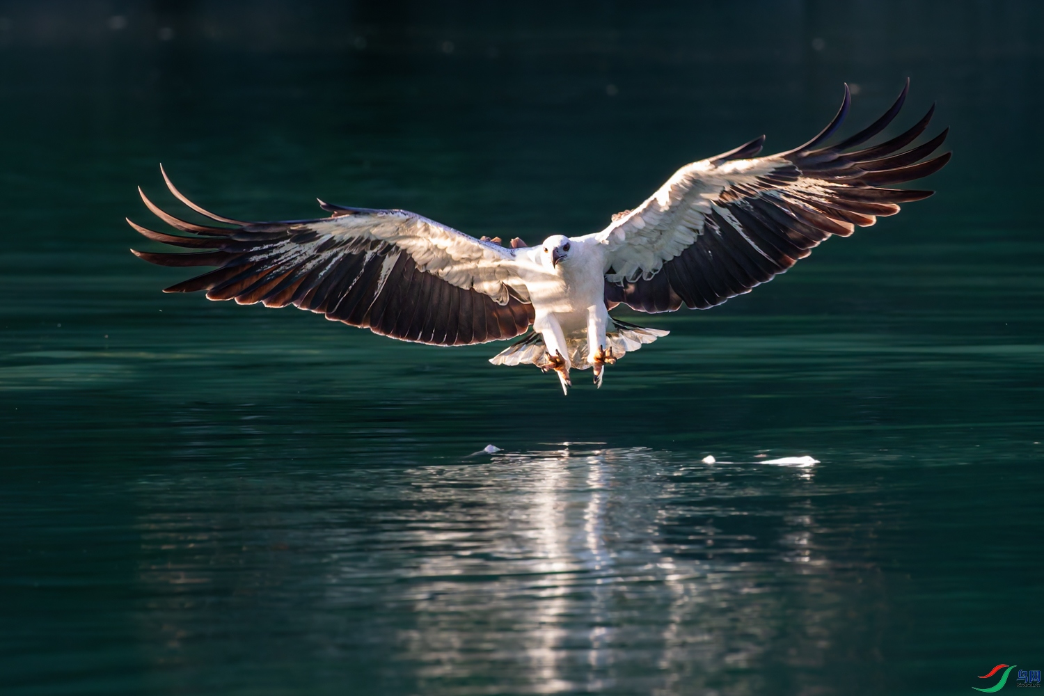 A91Q0973-DxO_DeepPRIME 3.jpg