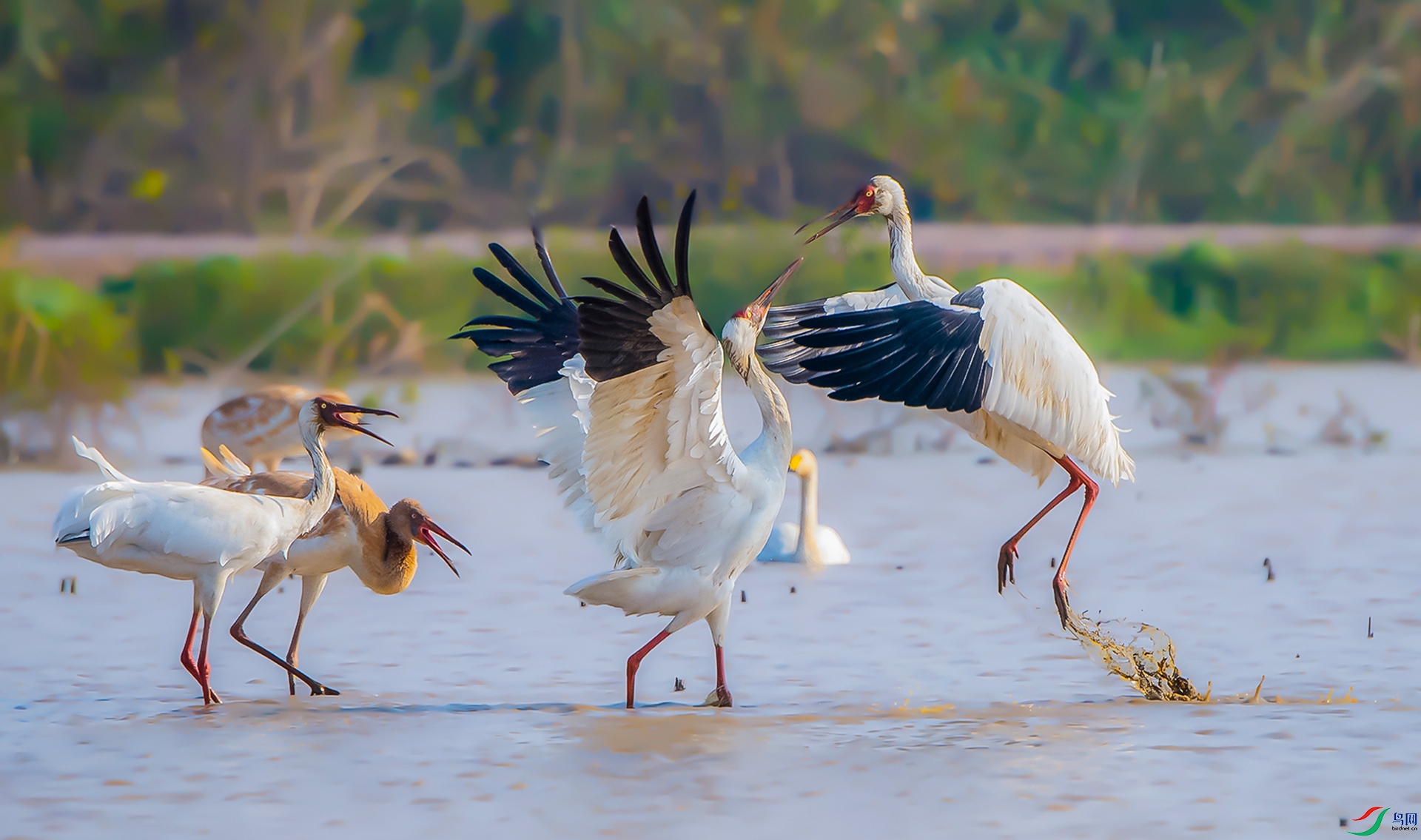 �׺� - ���� 1.jpg