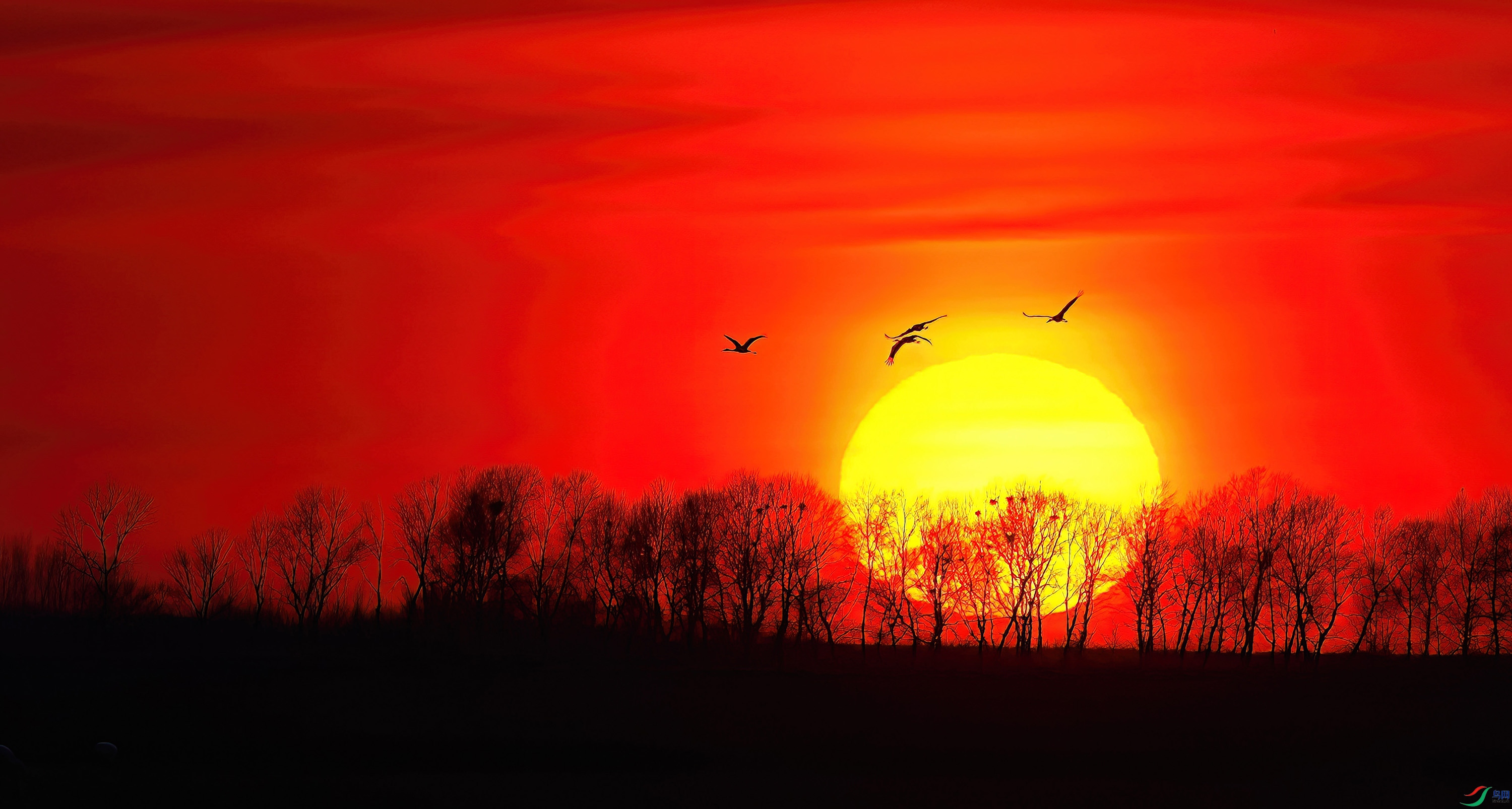 DSC09207-DeNoiseAI-low-light-DeNoiseAI-low-light ����.jpg