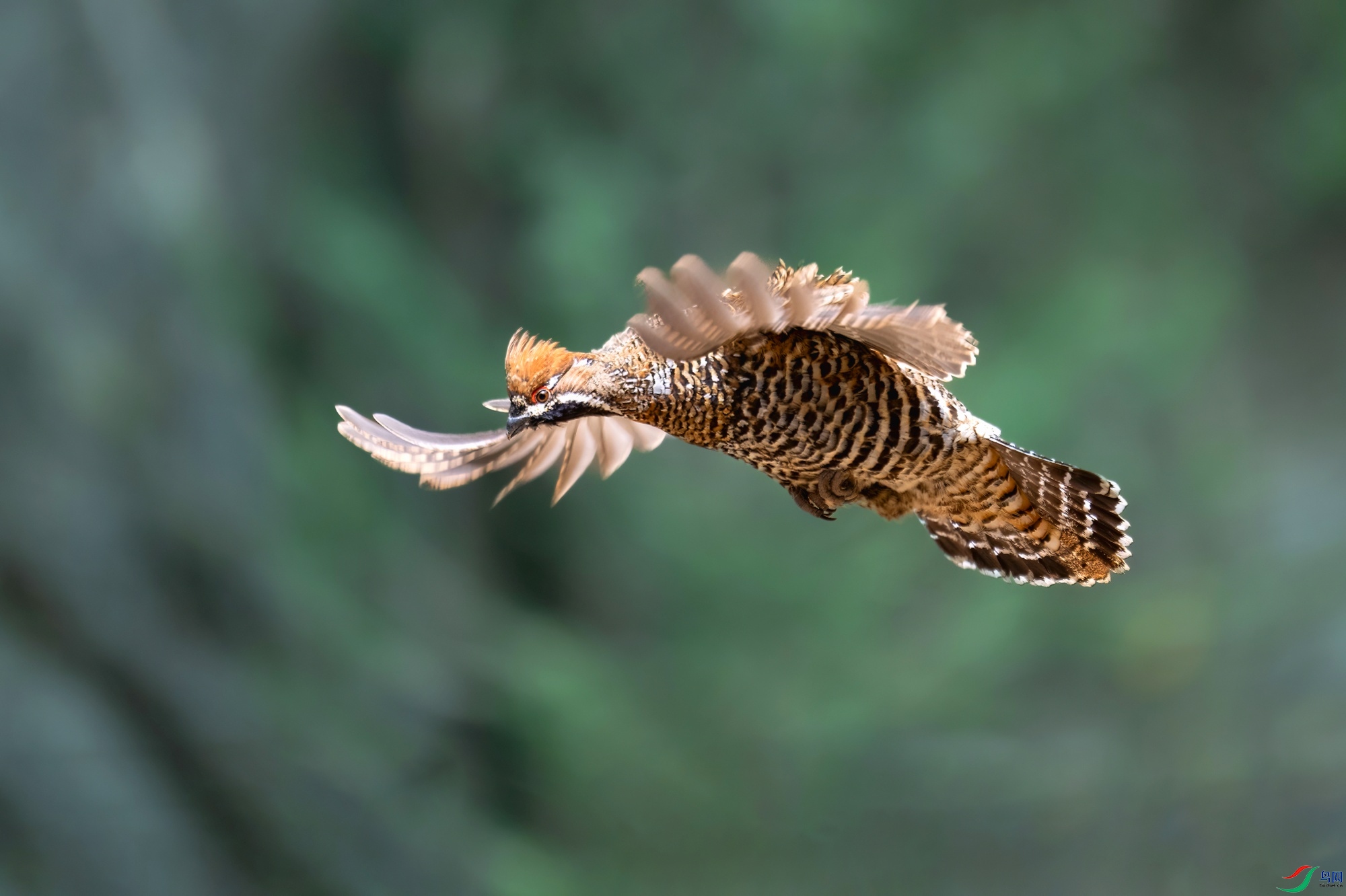 _DSC9096 ����-01.jpeg