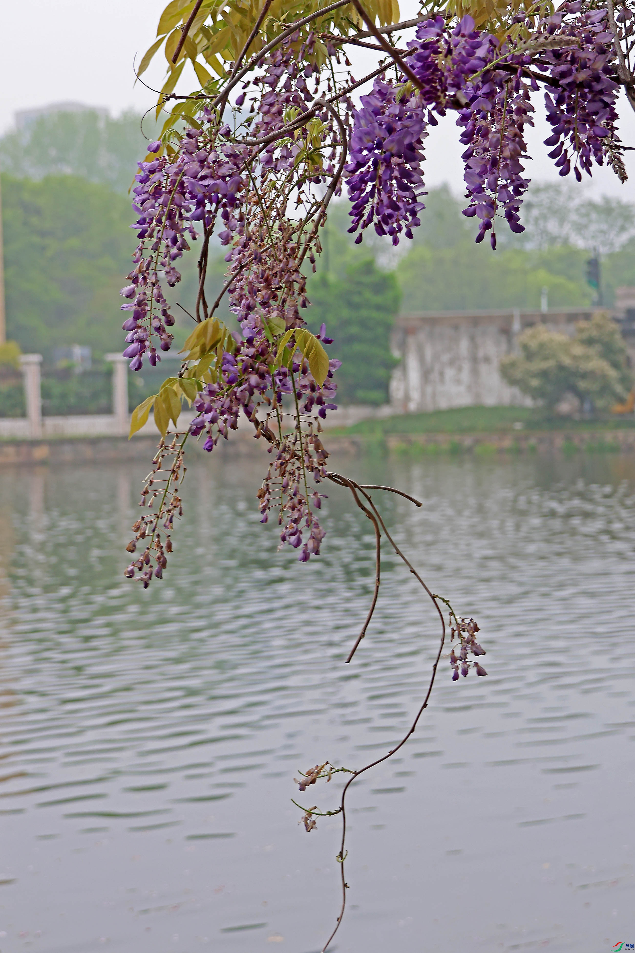 2G9A4430.JPG