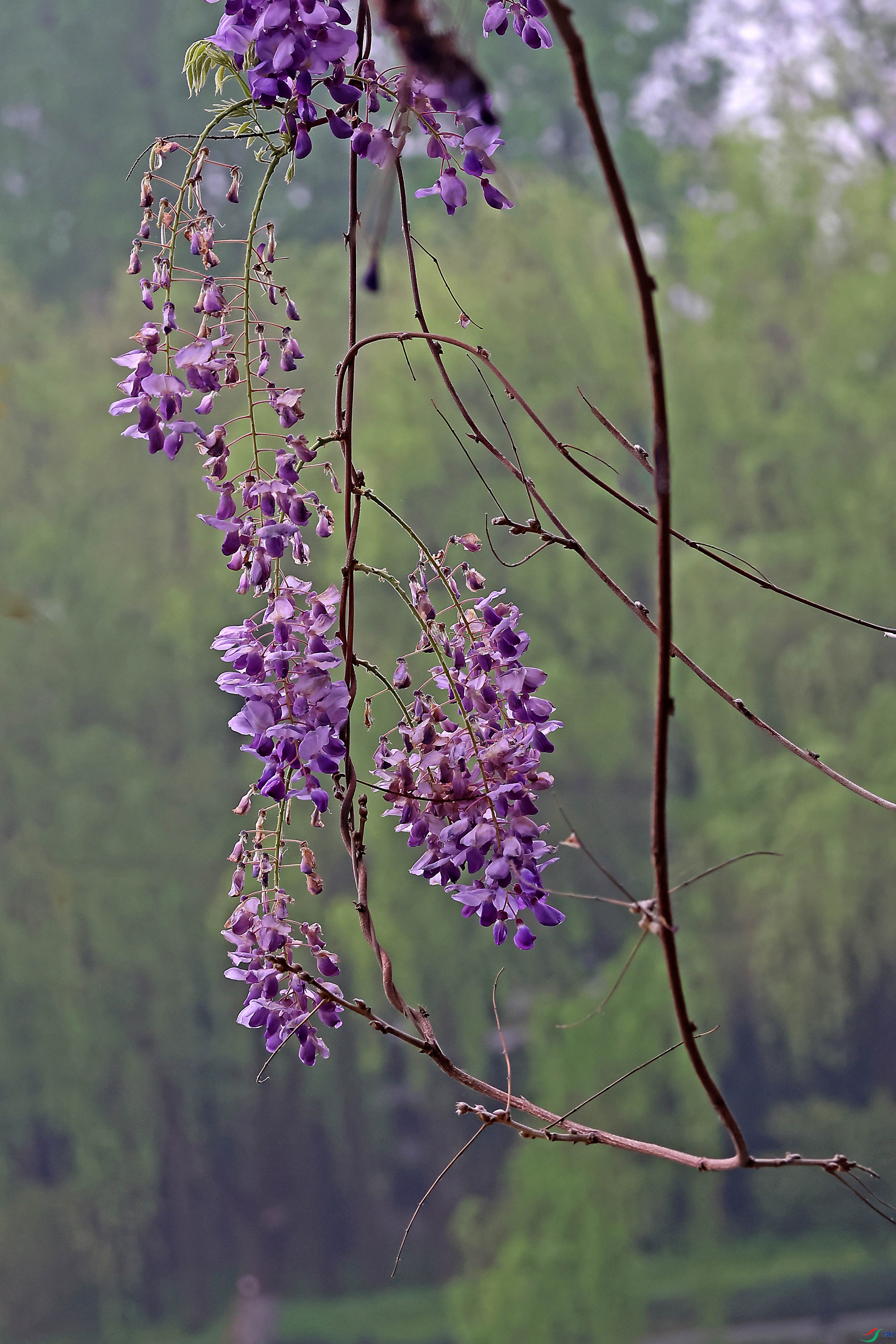 2G9A4435.JPG