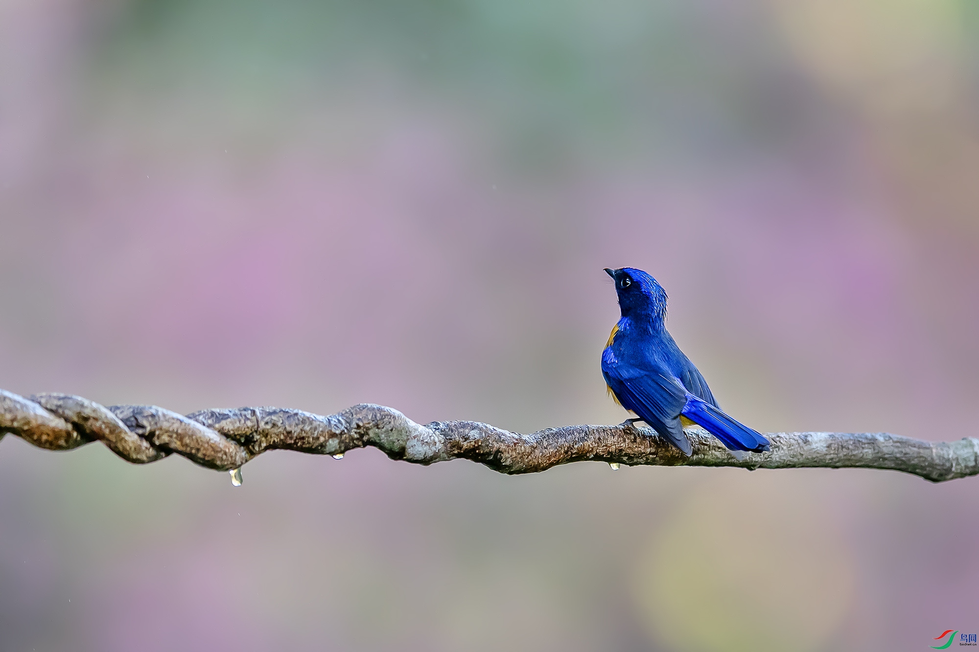 0F7A9008 ����.jpg