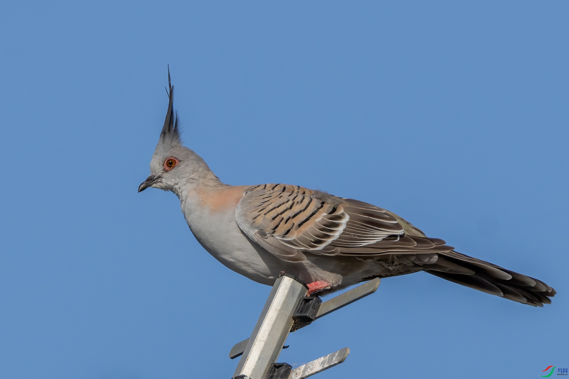 4E9A6567-.jpg