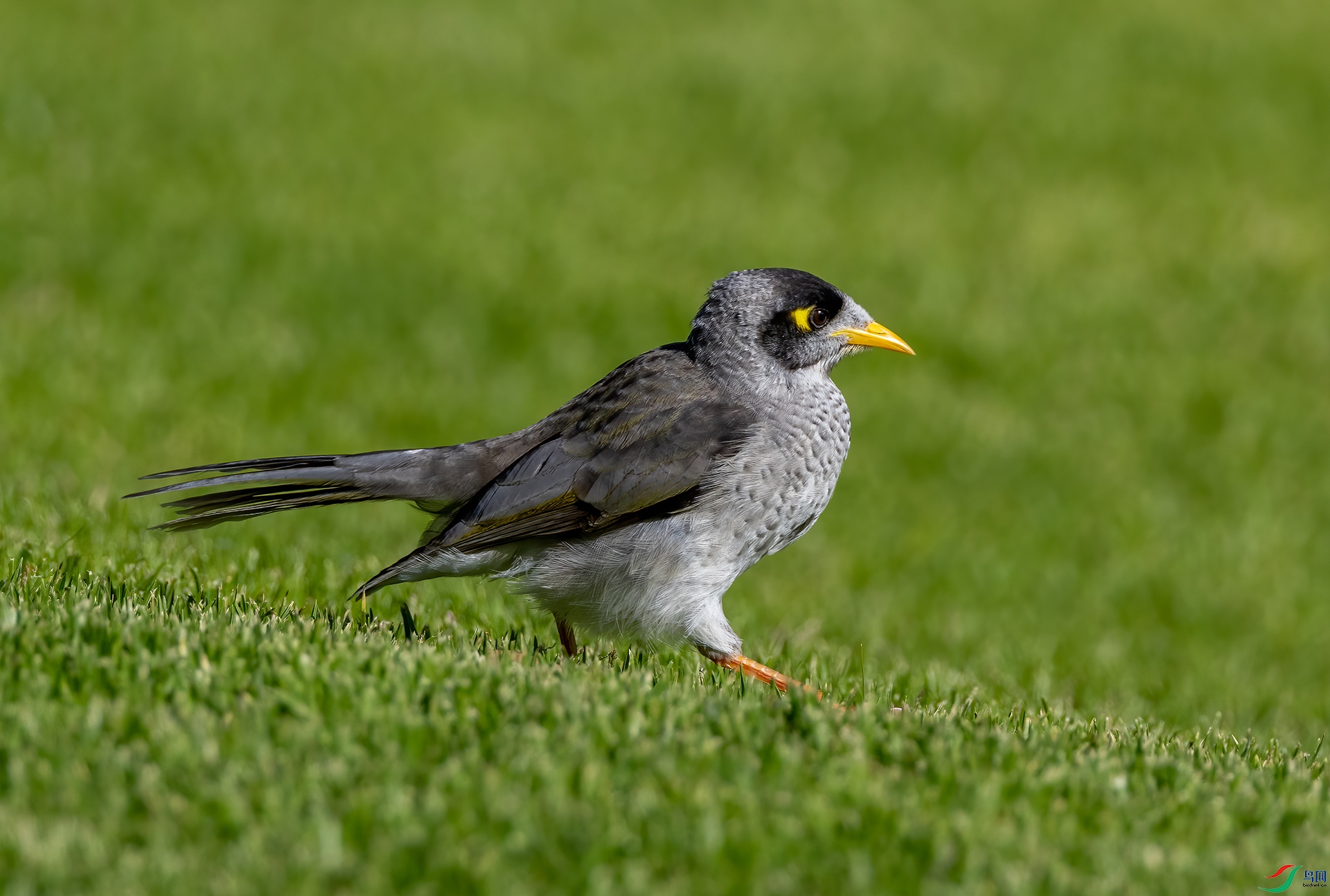 4E9A8340-�ڶ��������.jpg