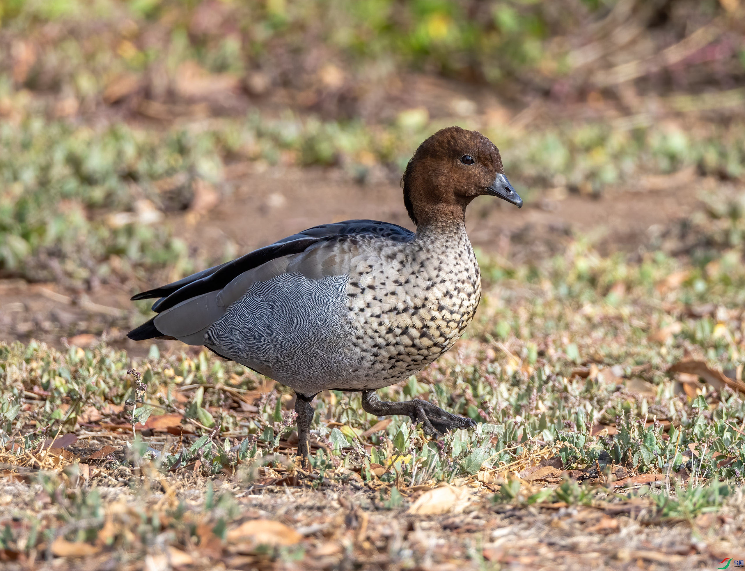 4E9A8571-.jpg