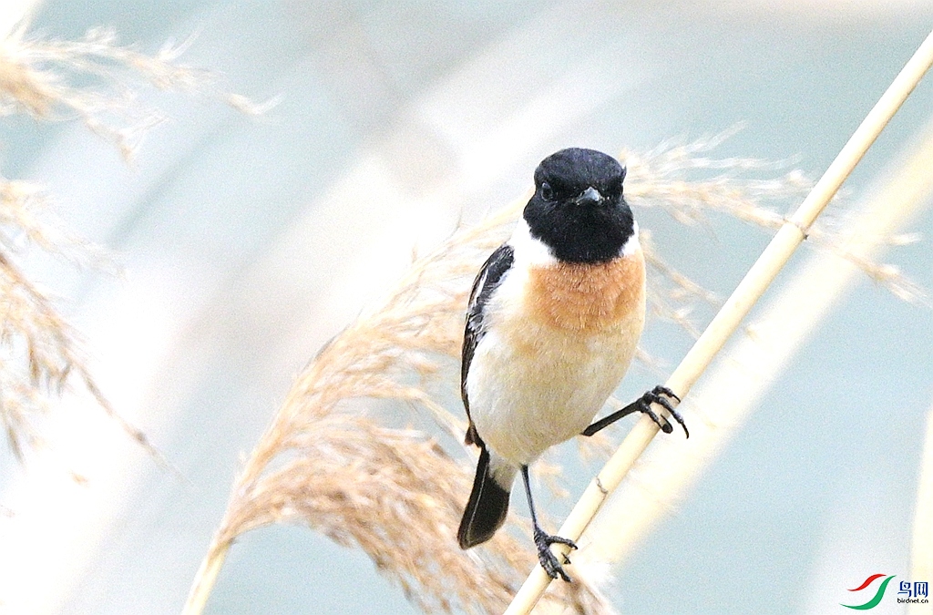DSC_0655.JPG