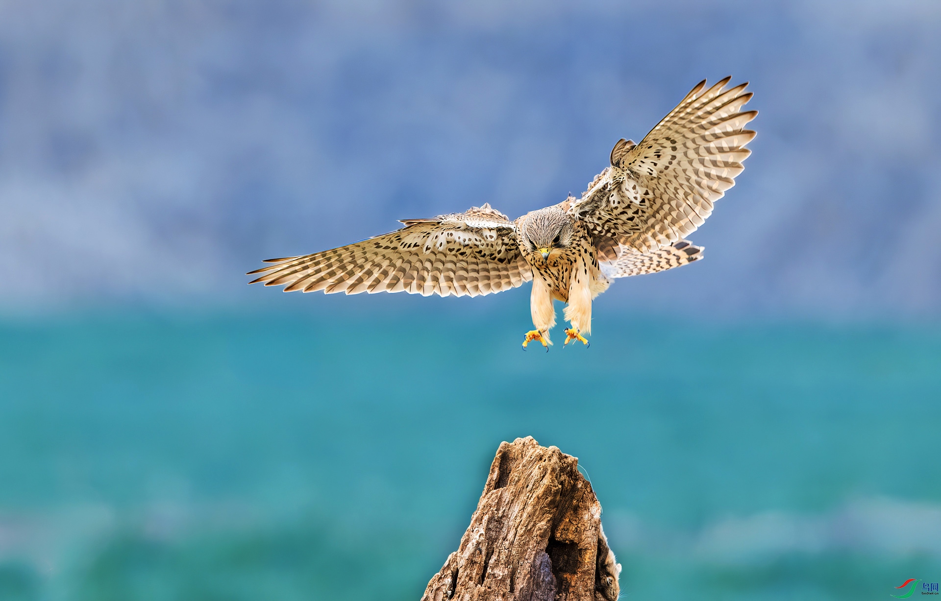 L25_4087-����ǿ-NR_1 ���� 2.jpg