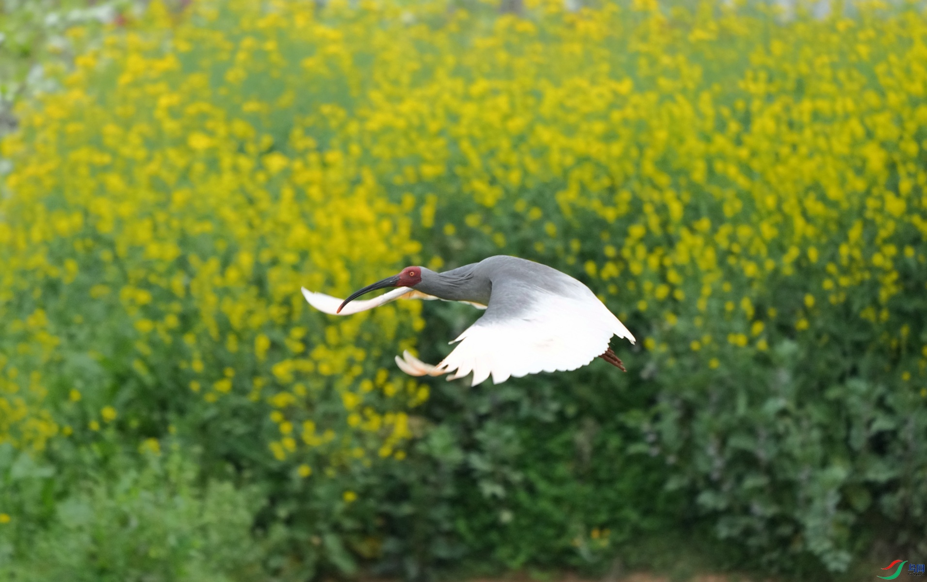 DSC04179_����.jpg