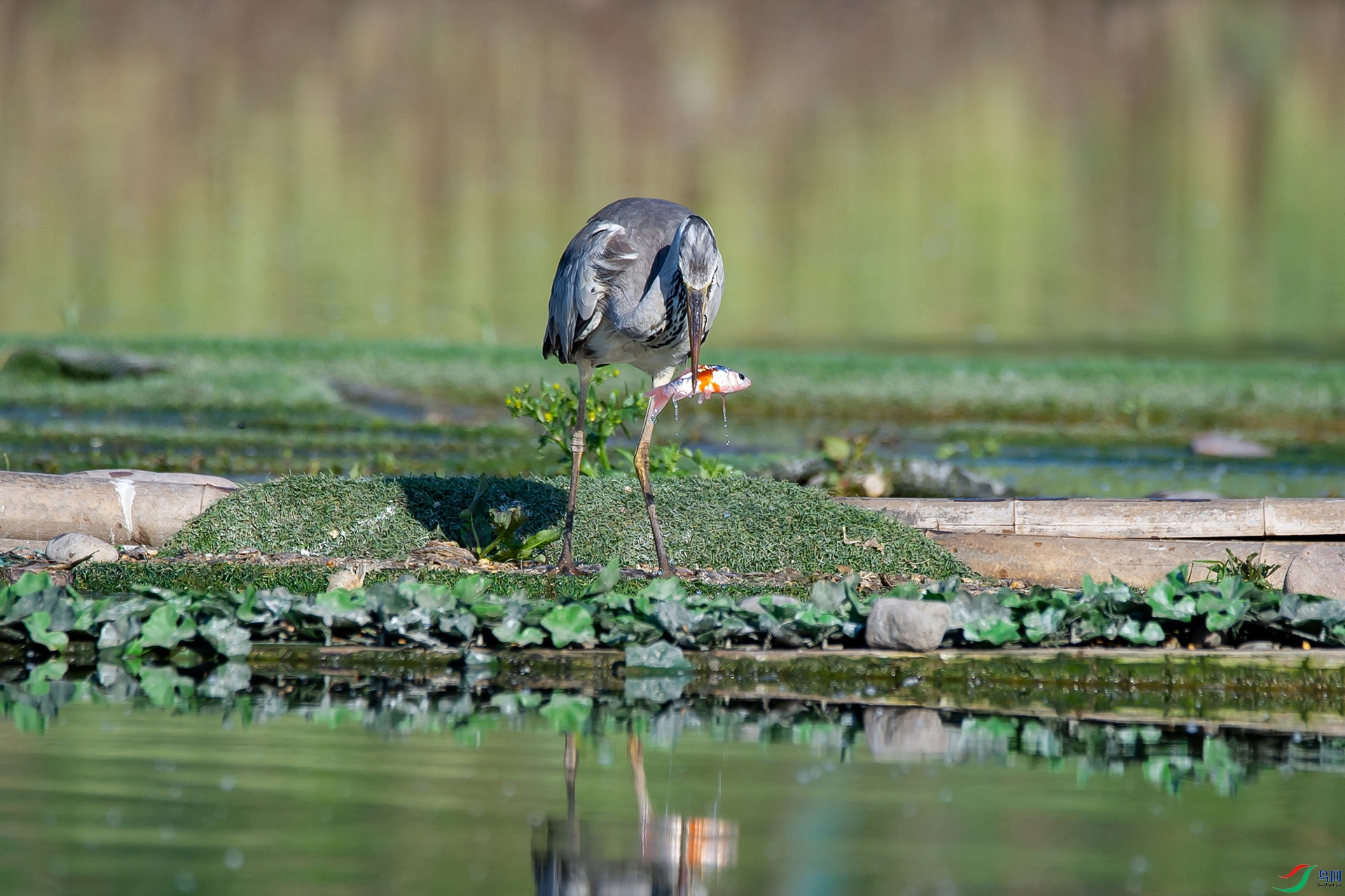 _DSC1532-20220522�ü�-.jpg