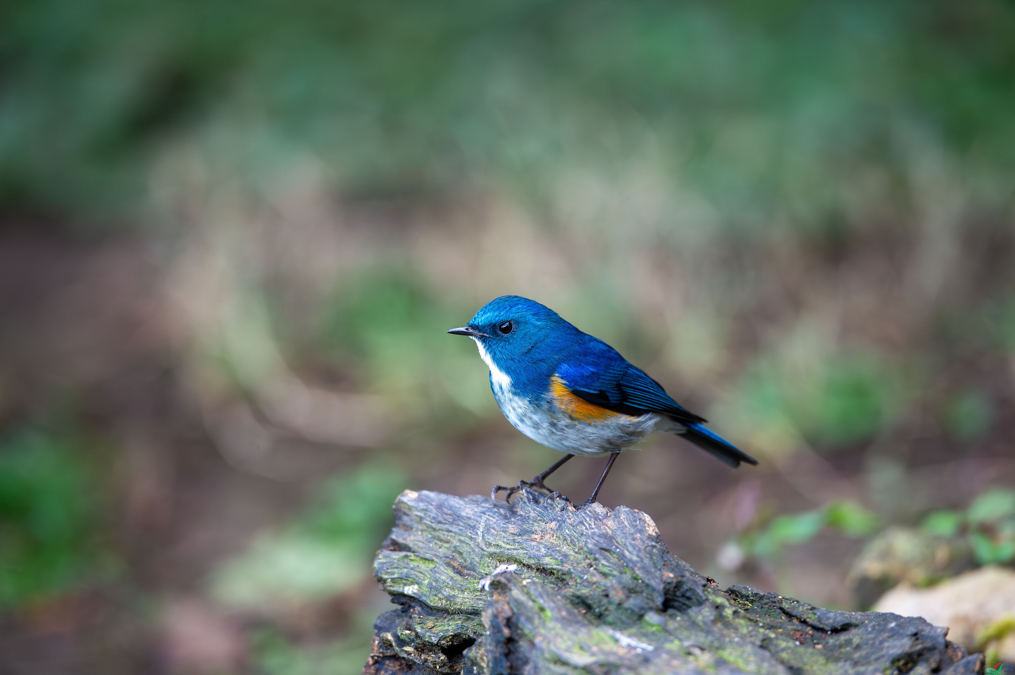 _DSC1210.jpg