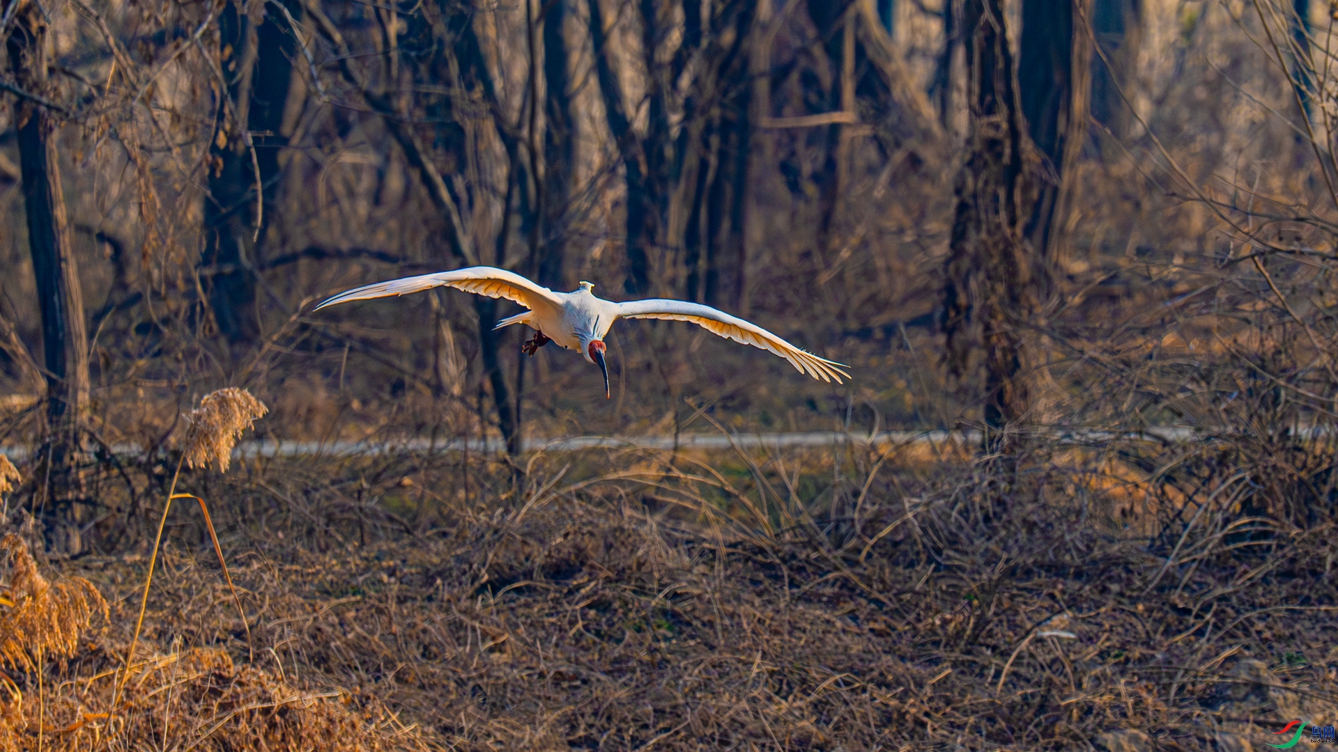 DSC_3321_����.jpg