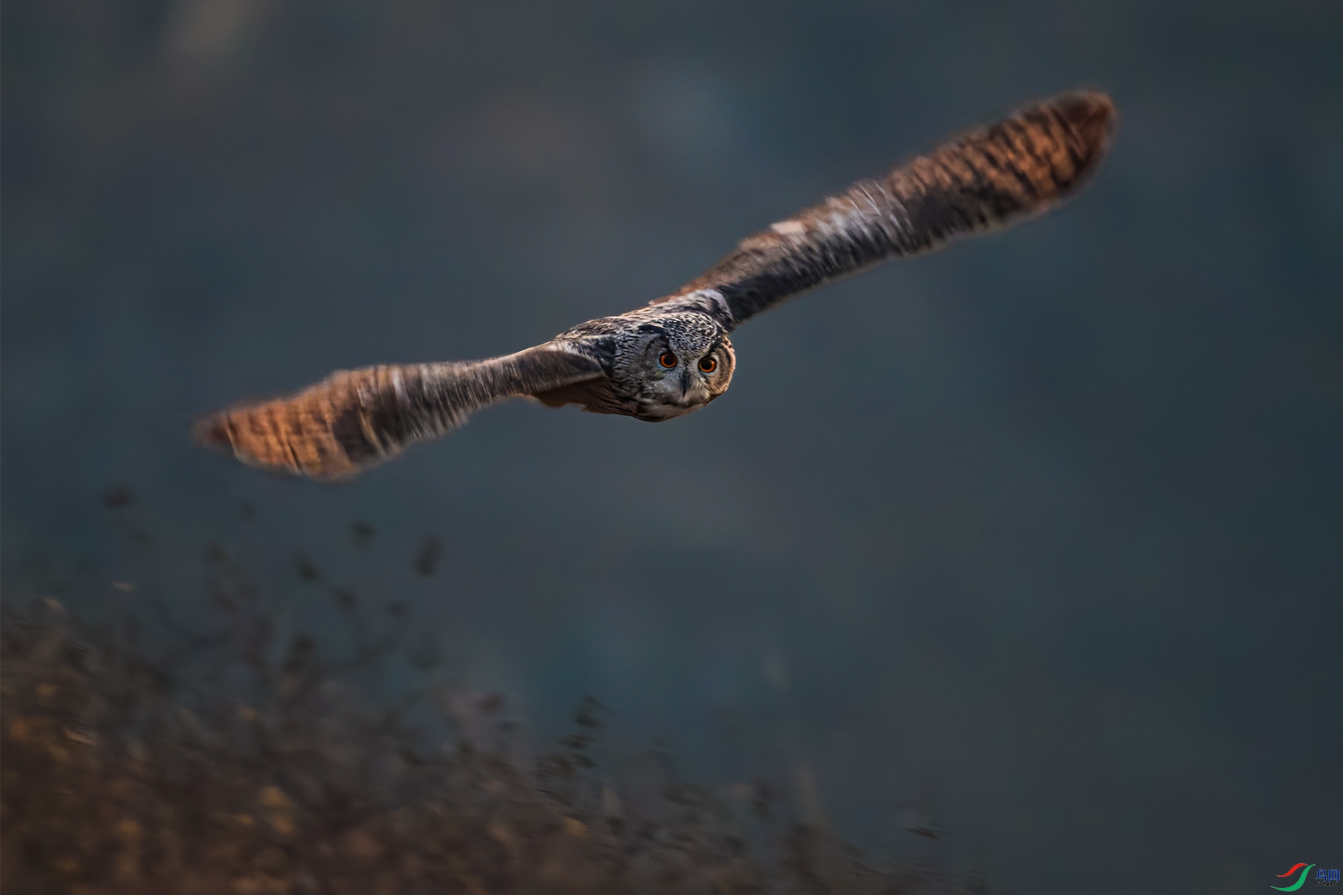 3E9A7699-1-1.jpg