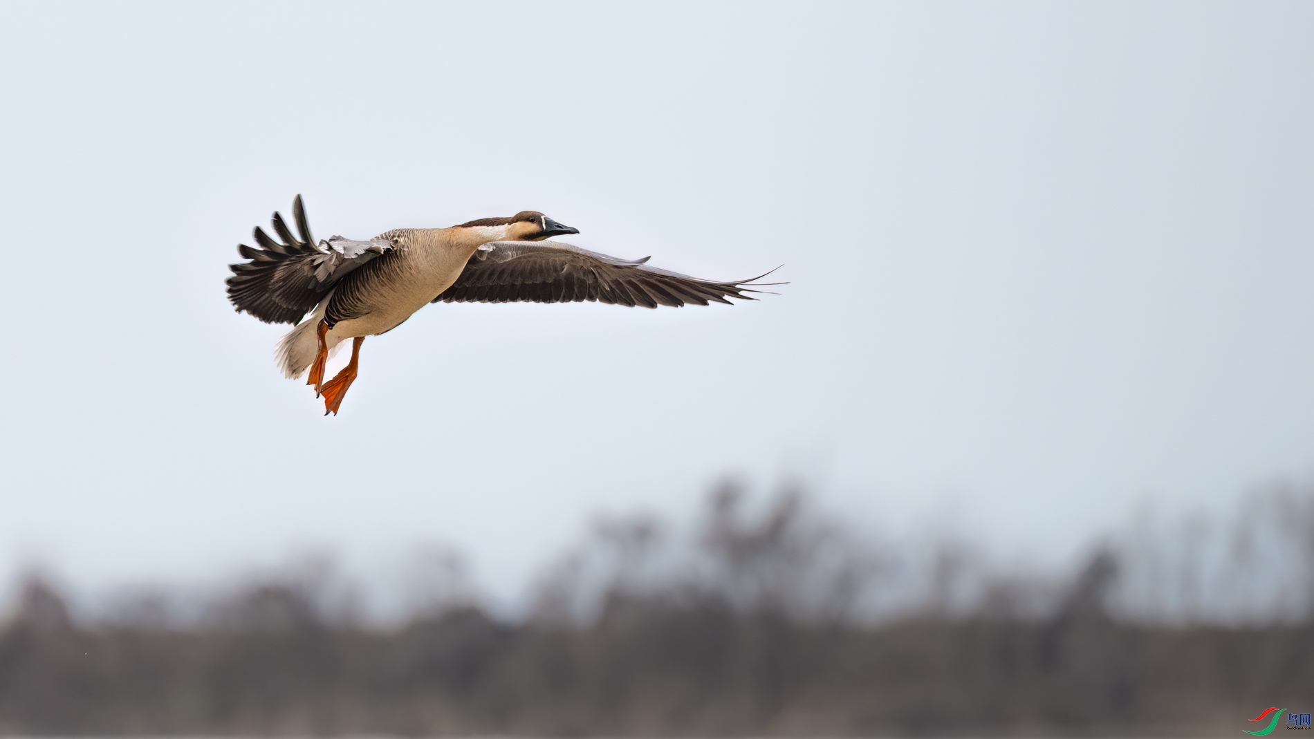 DSC_4171sen2026-2-27-277-�༭.jpg