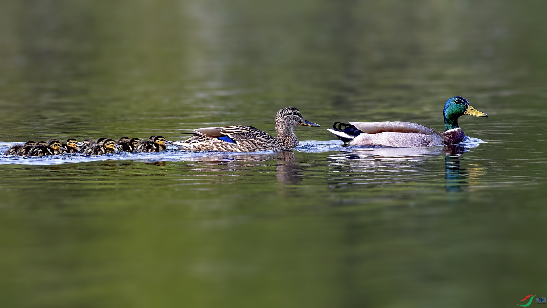 DSC_5028-.jpg