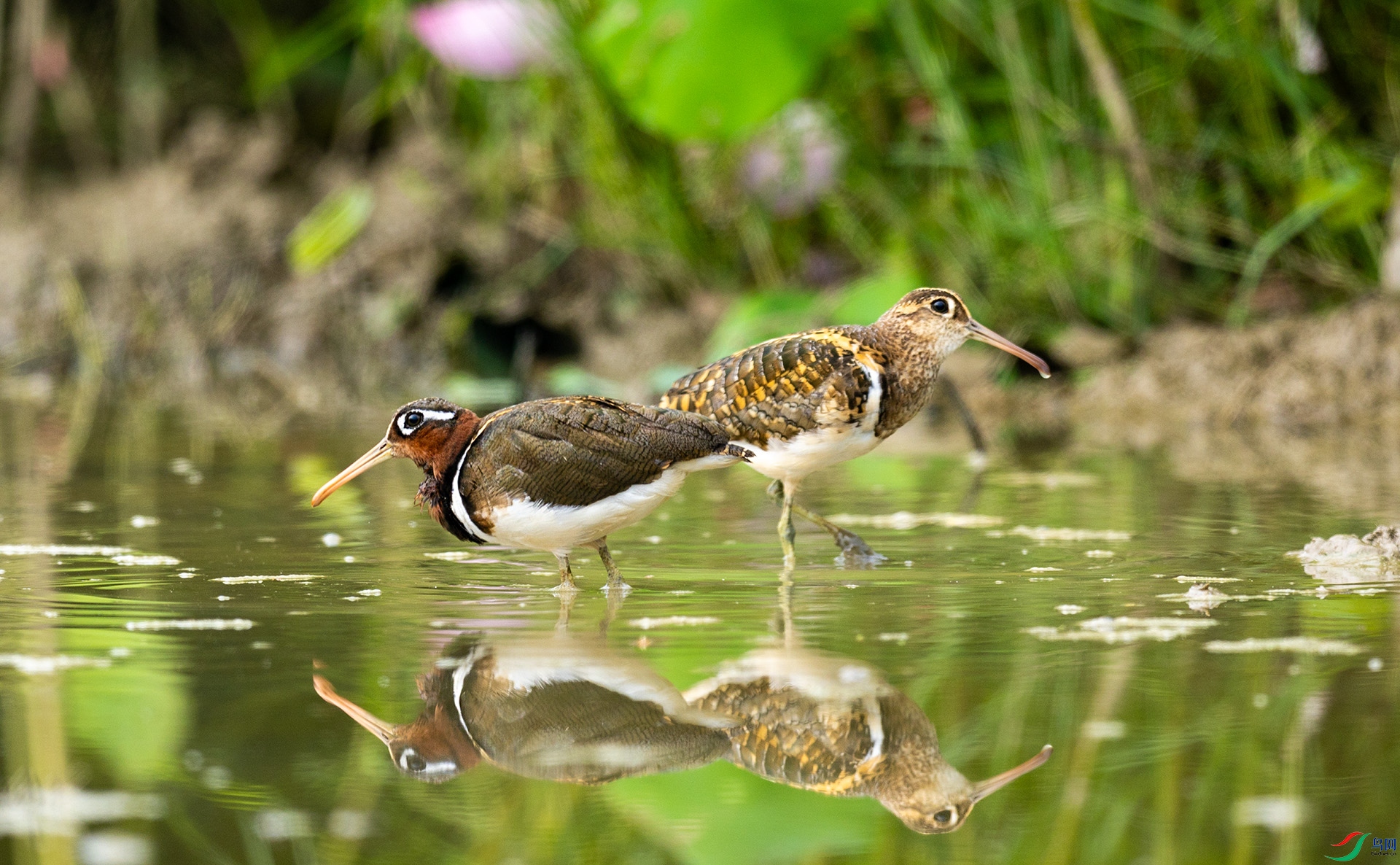 066A3163 ����.jpg