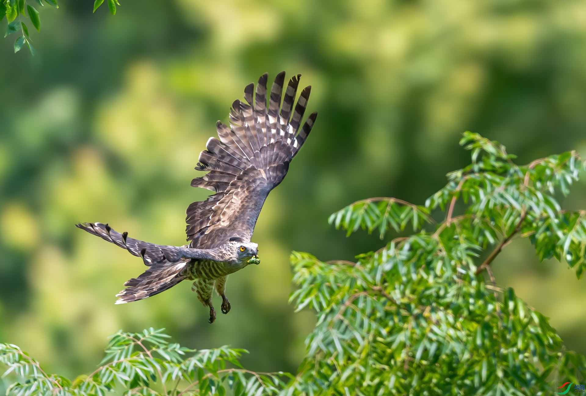 DSC_6207-1.jpg