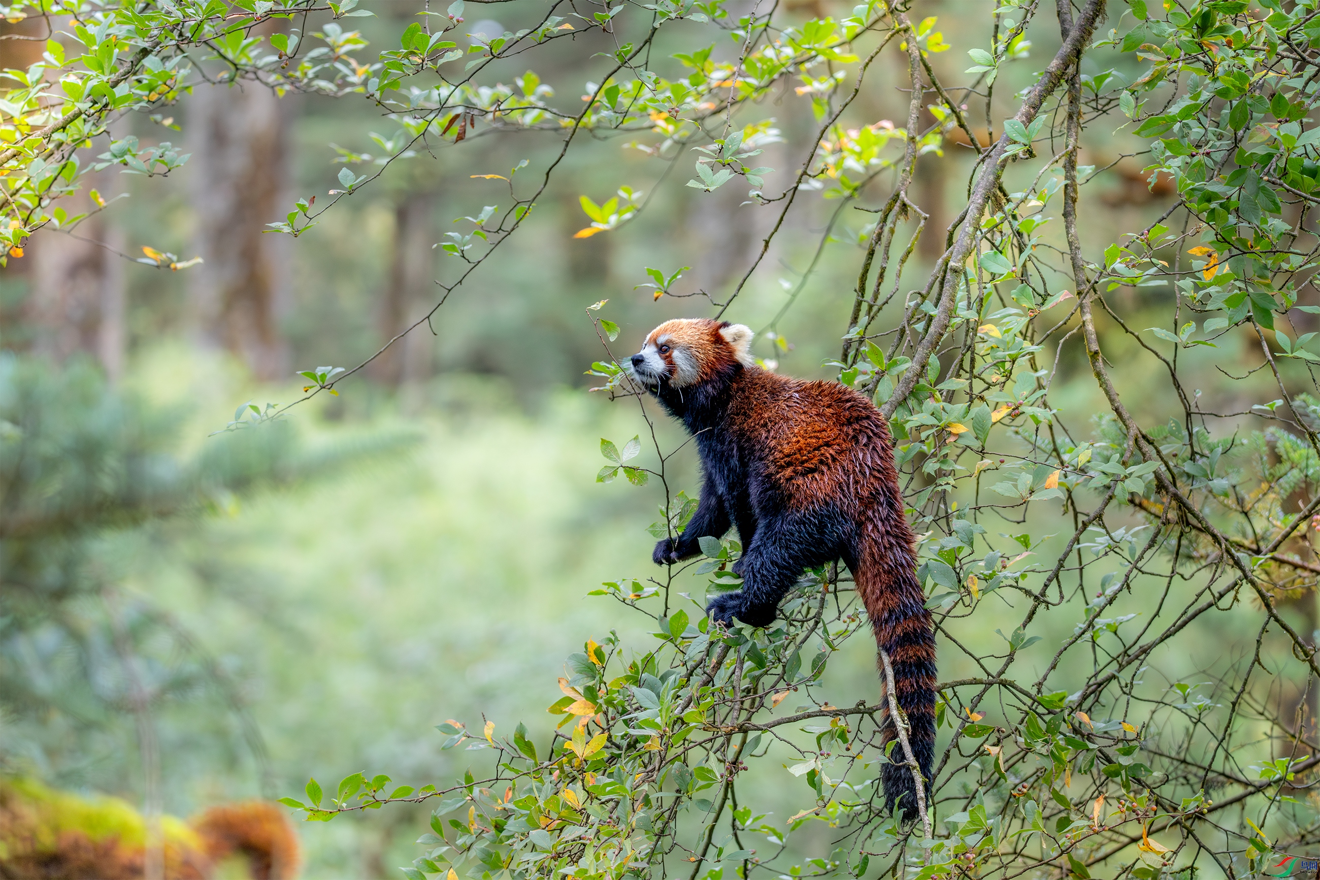 3S5A6045 ����.jpg