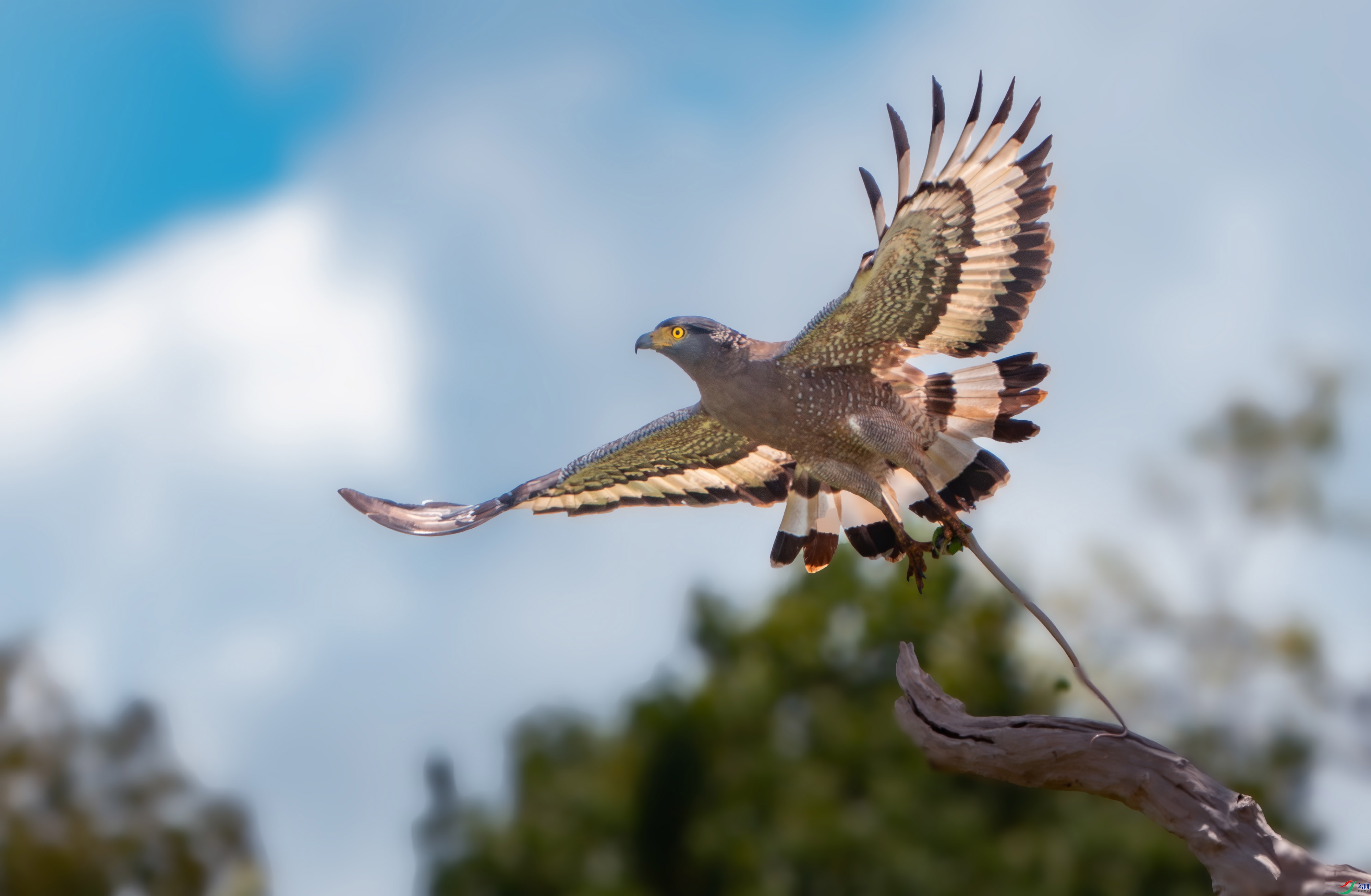 _DSC8735 ���� 2.jpg