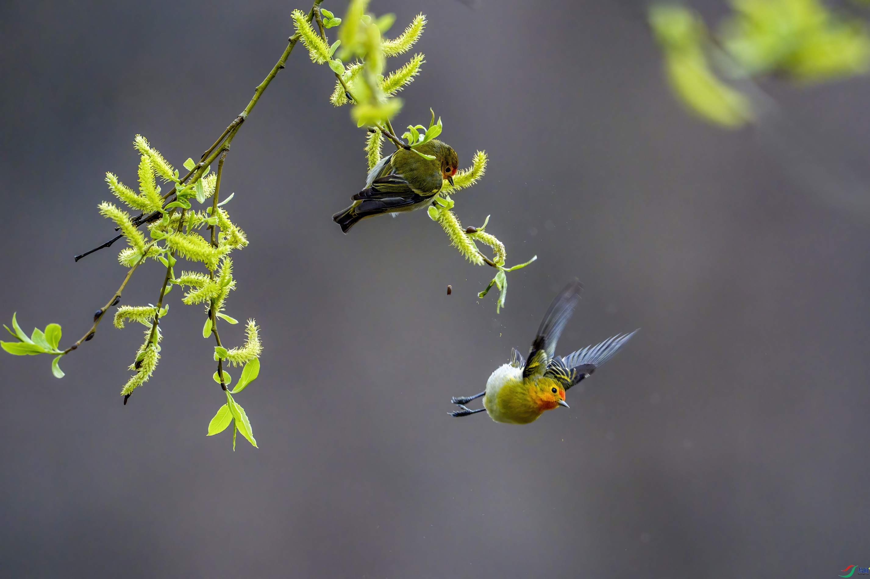 _DSC0461 ����F001.jpg