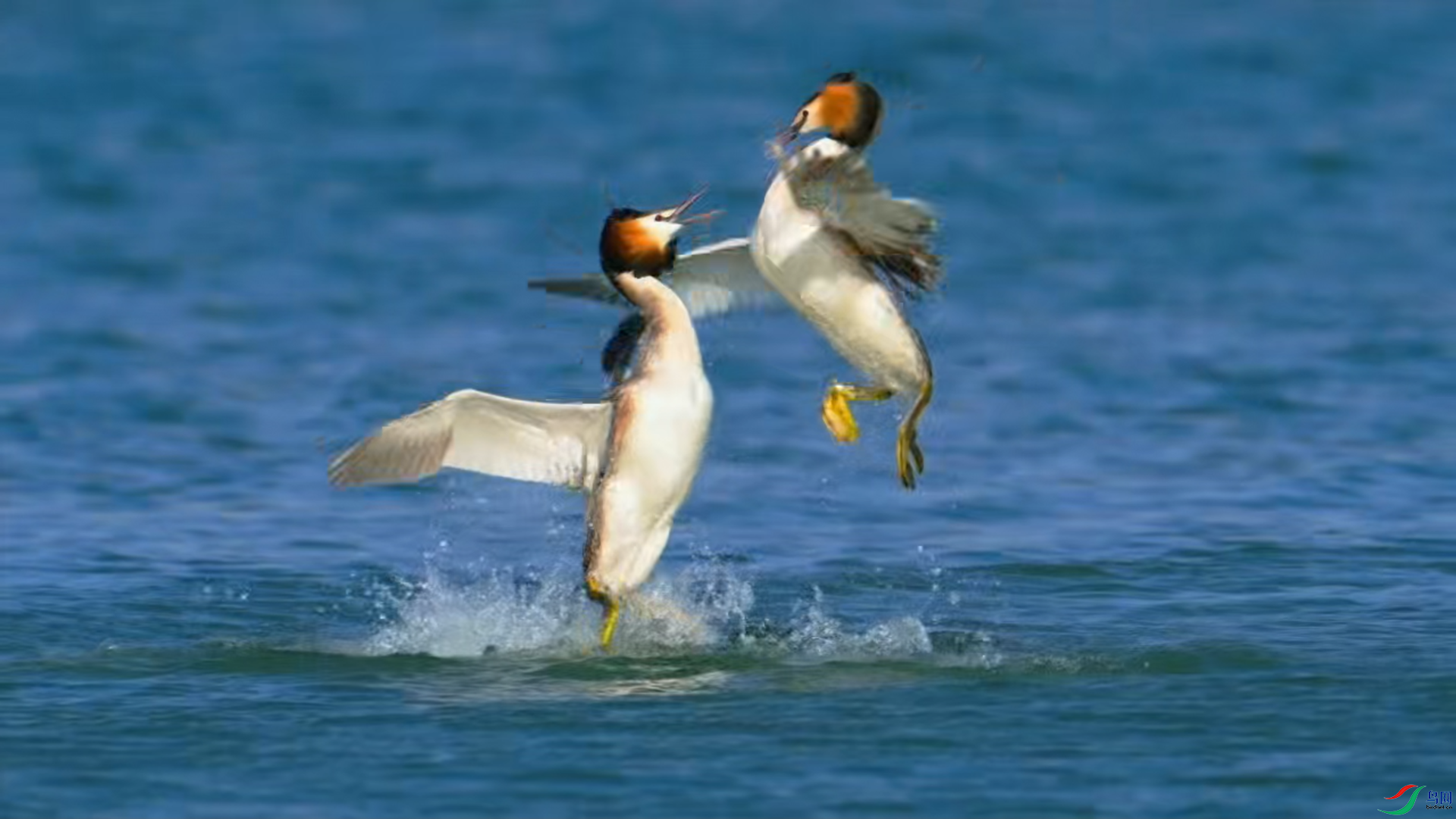 4��12�� (31).png