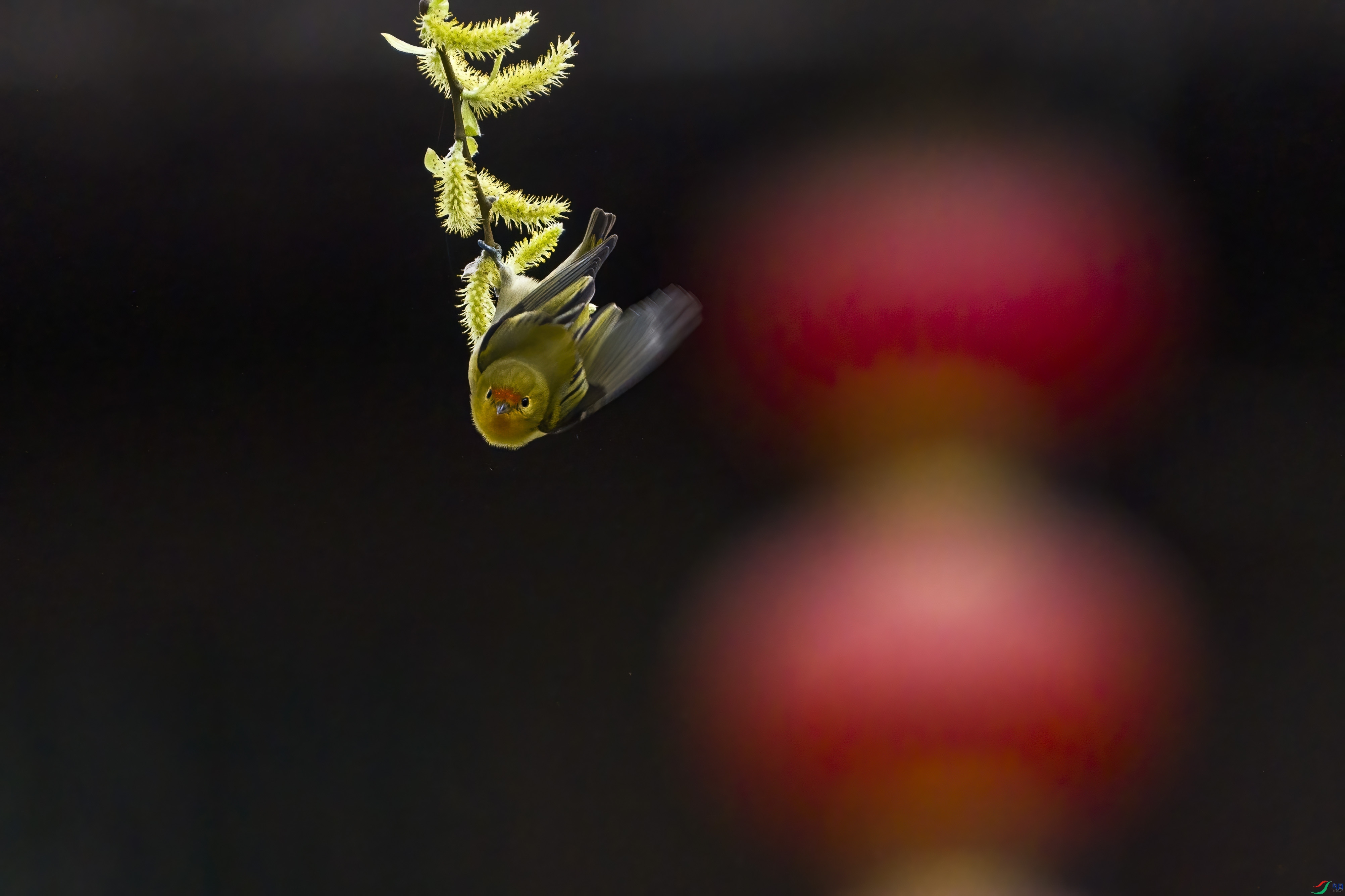 _DSC7422 ���� 2.jpg