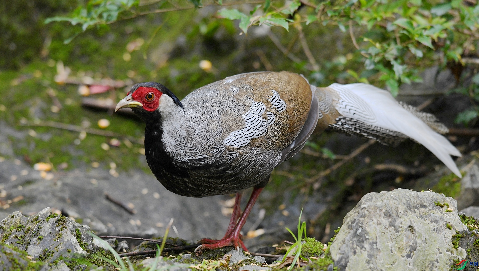 DSC_4024.jpg