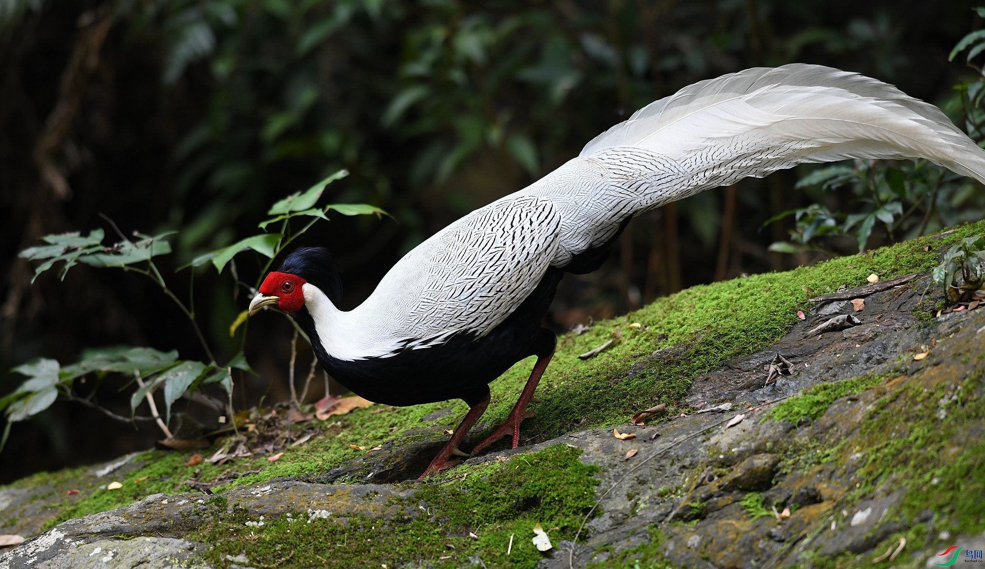 DSC_5451.jpg