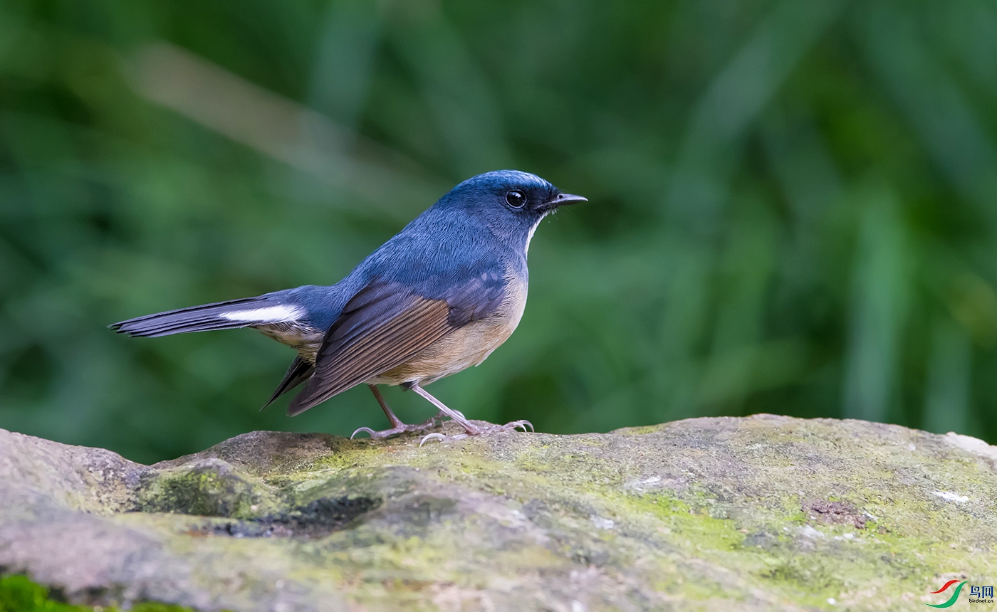 DSC_11111.jpg